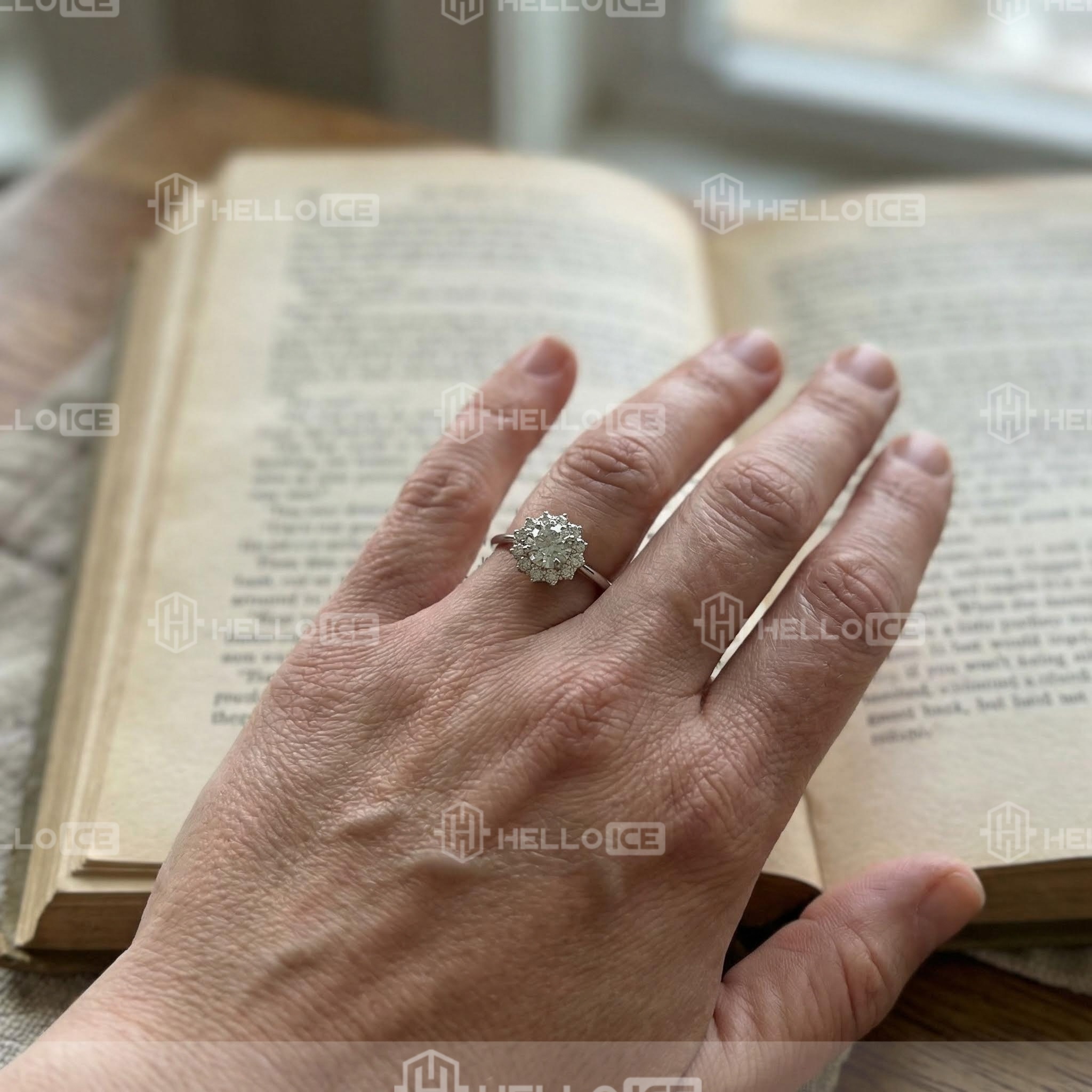 Helloice Review Image