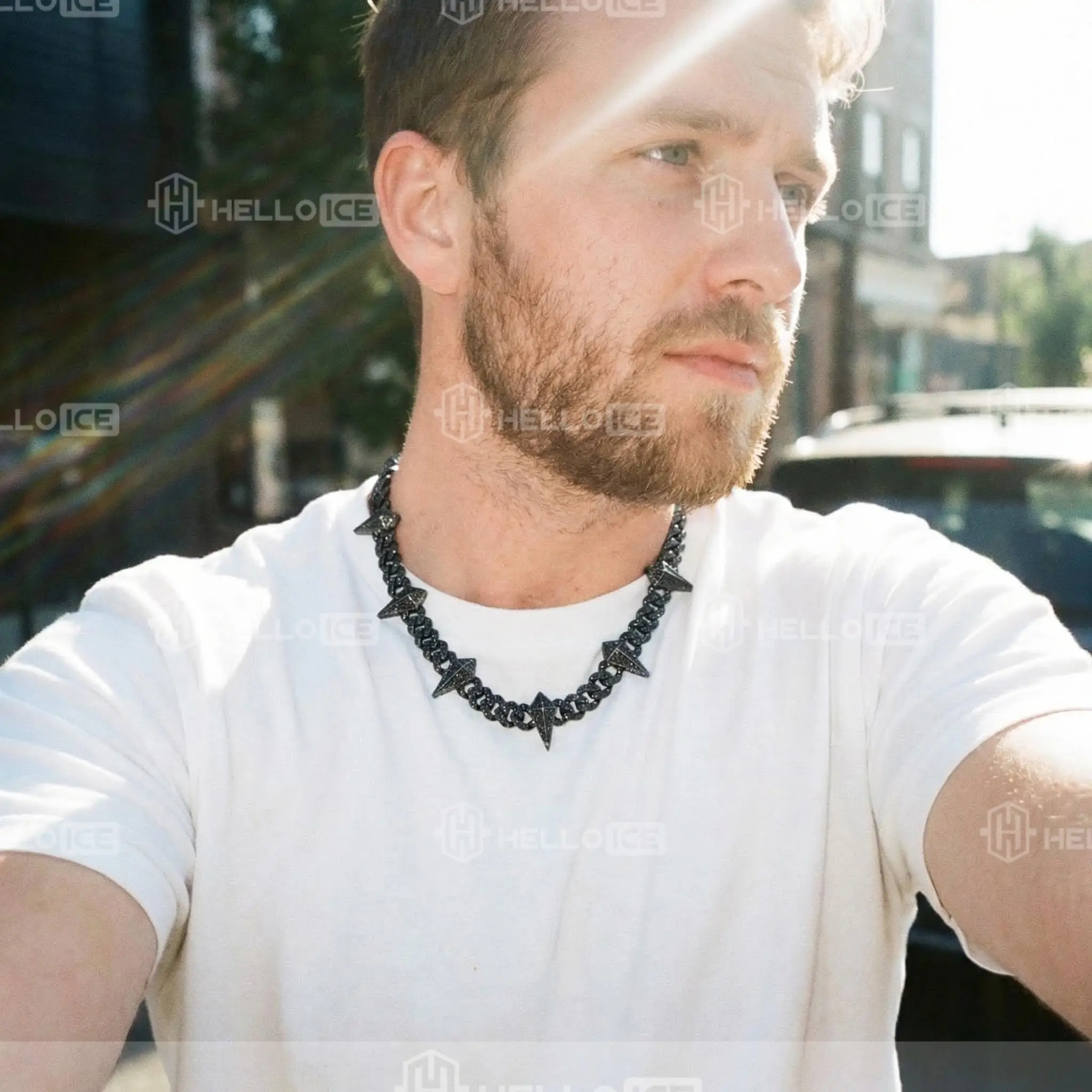 Helloice Review Image