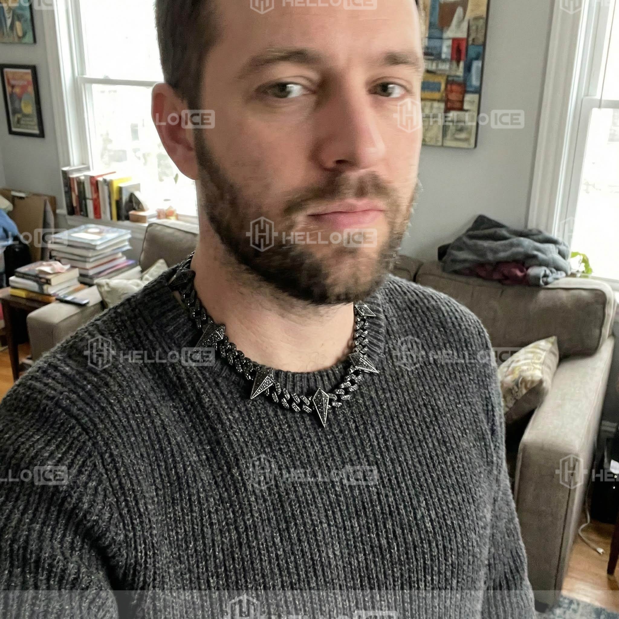 Helloice Review Image