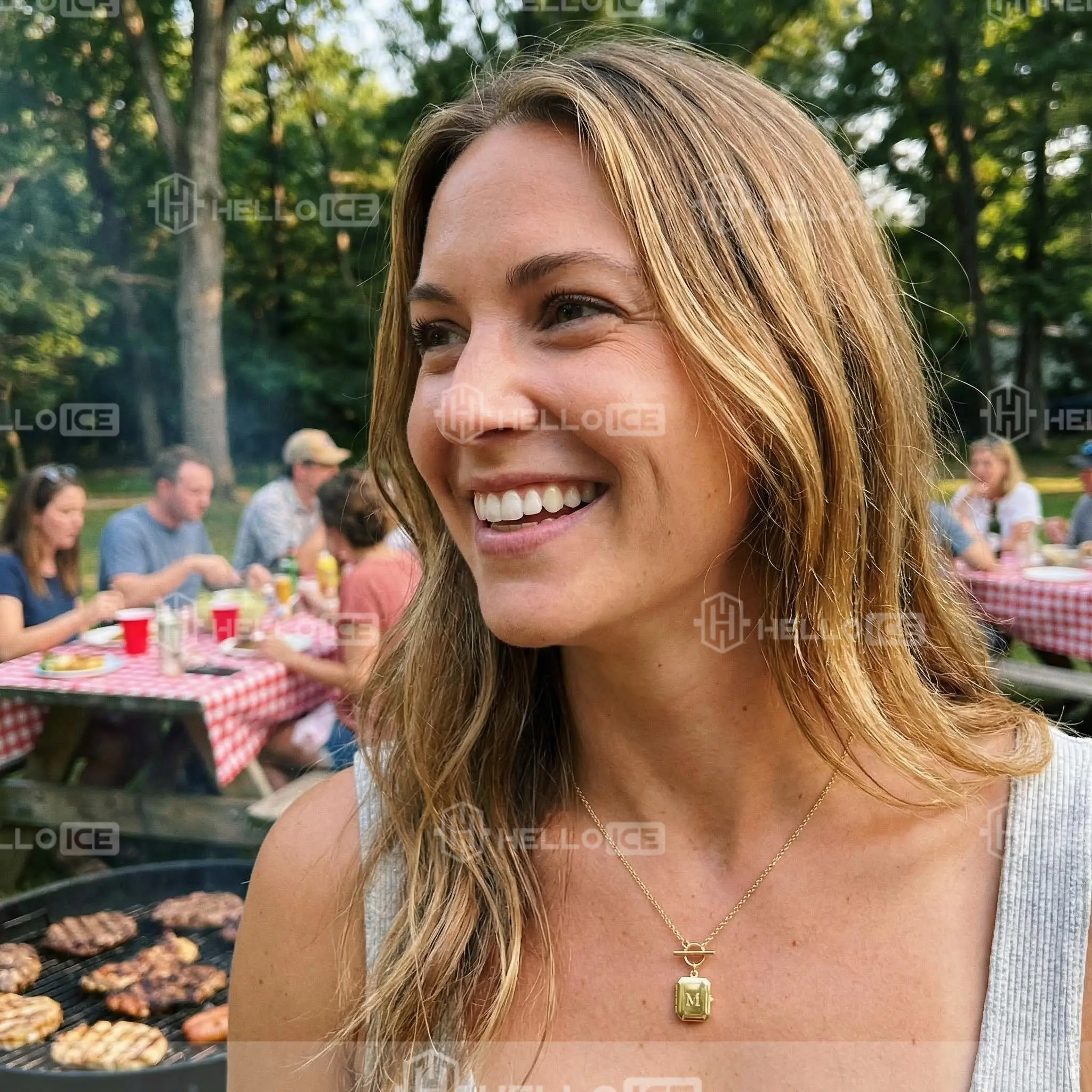 Helloice Review Image