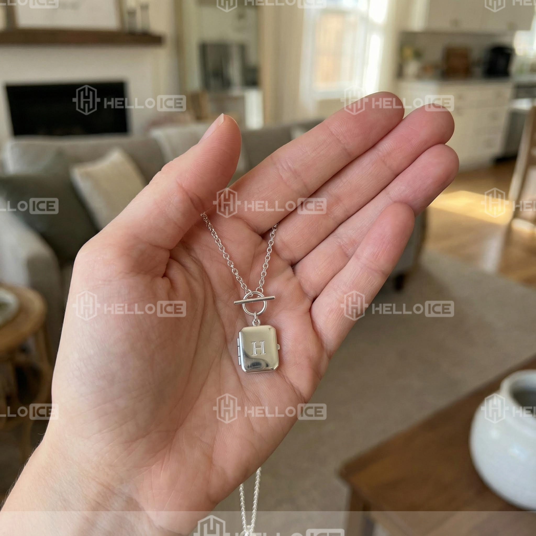 Helloice Review Image