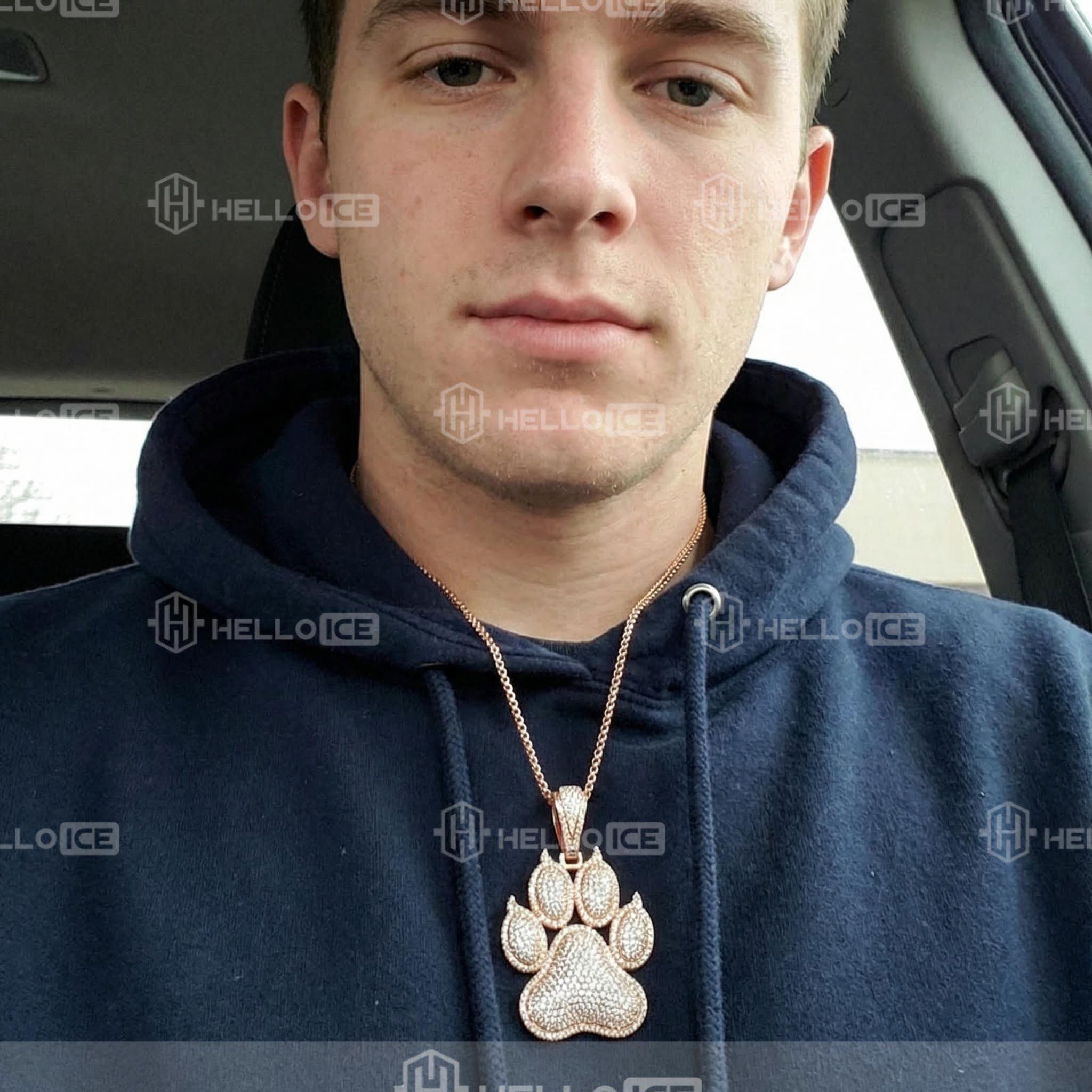 Helloice Review Image