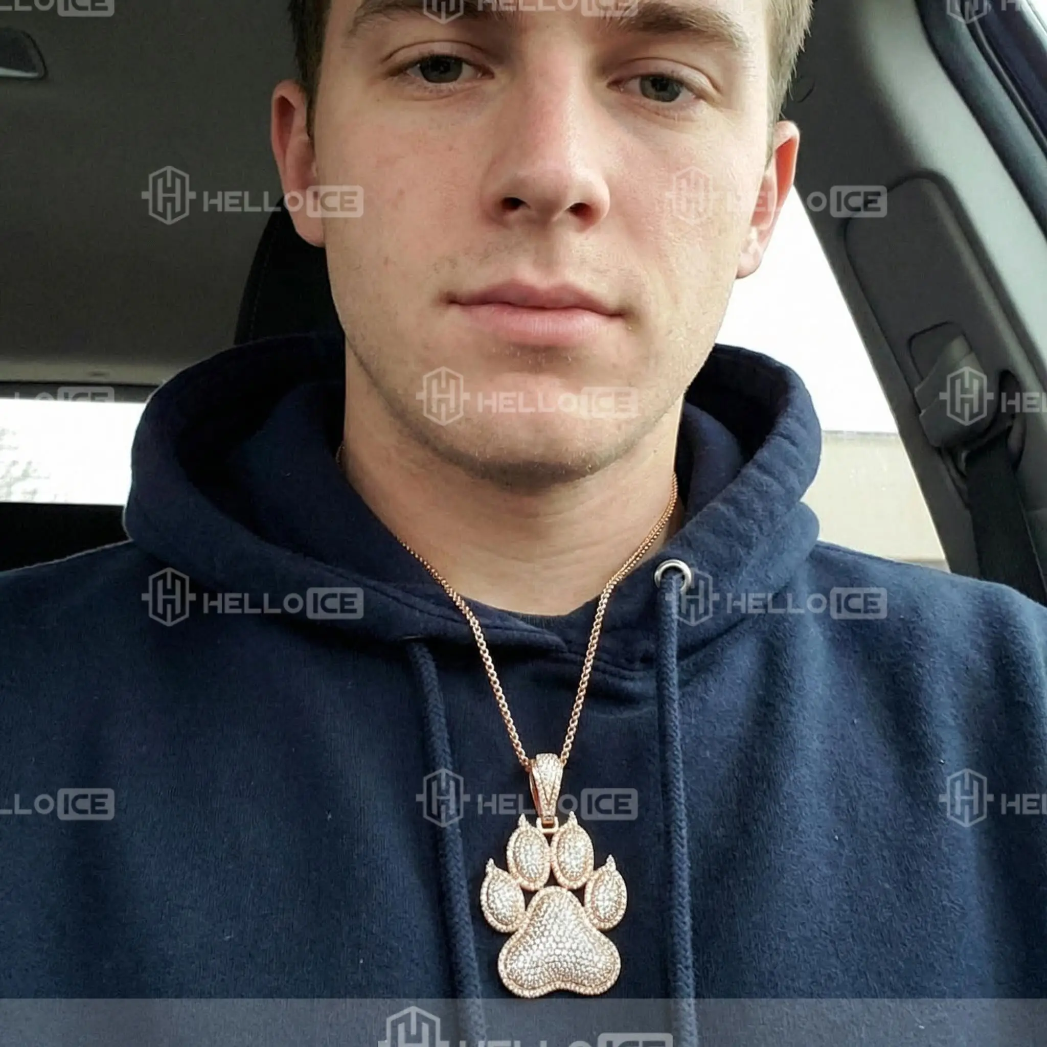 Helloice Review Image