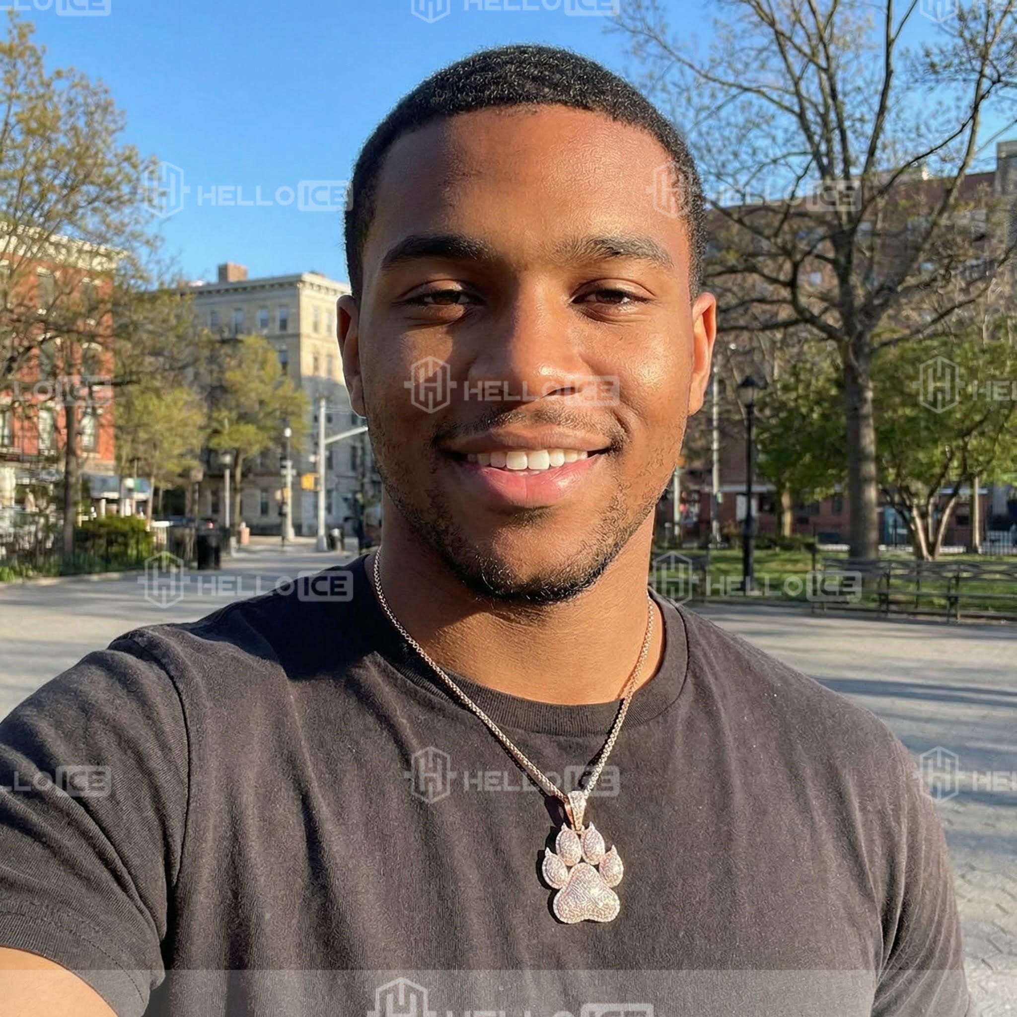 Helloice Review Image