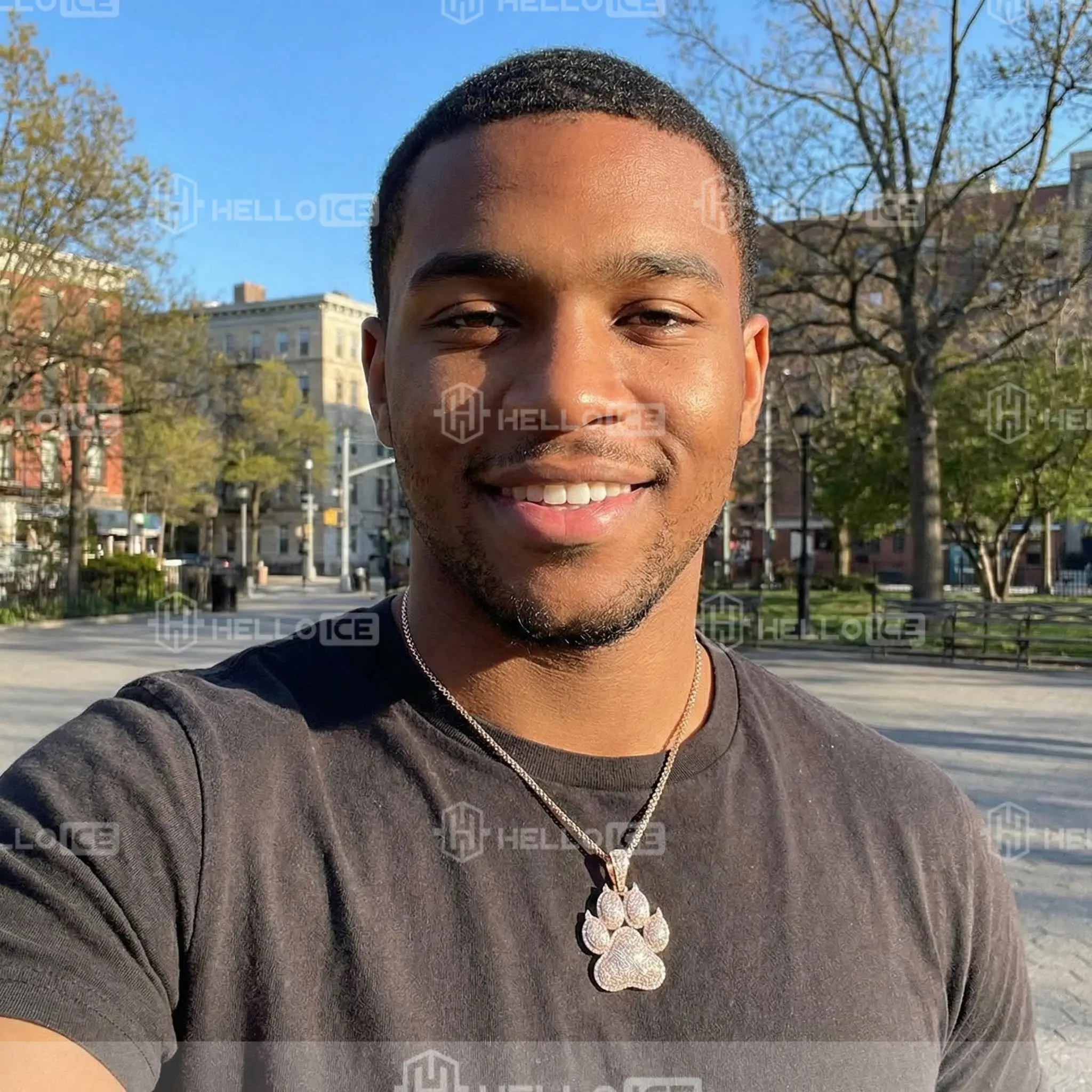 Helloice Review Image