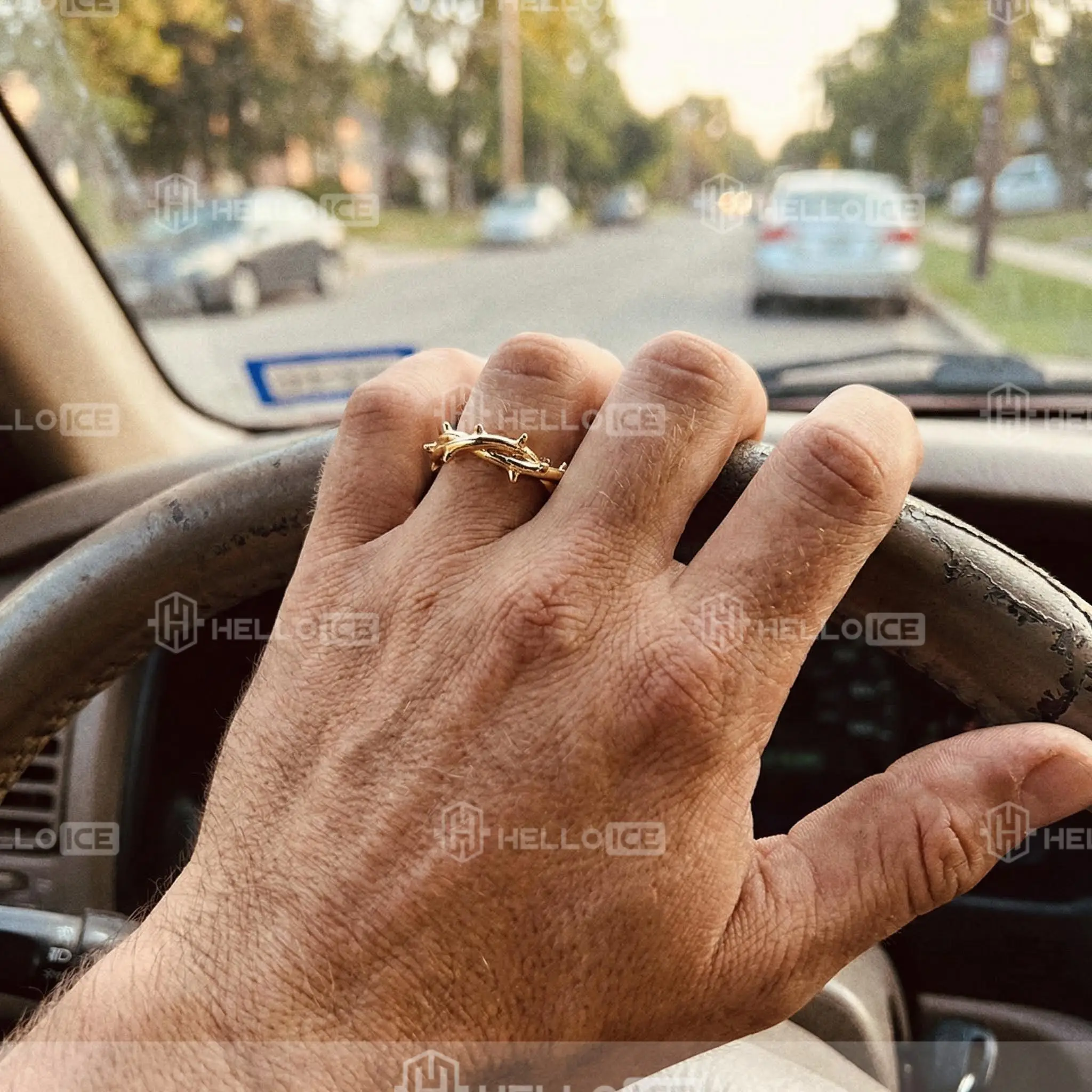 Helloice Review Image