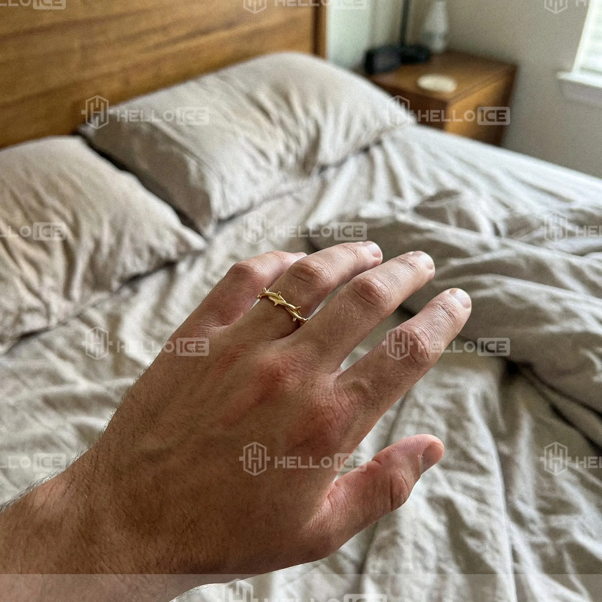 Helloice Review Image