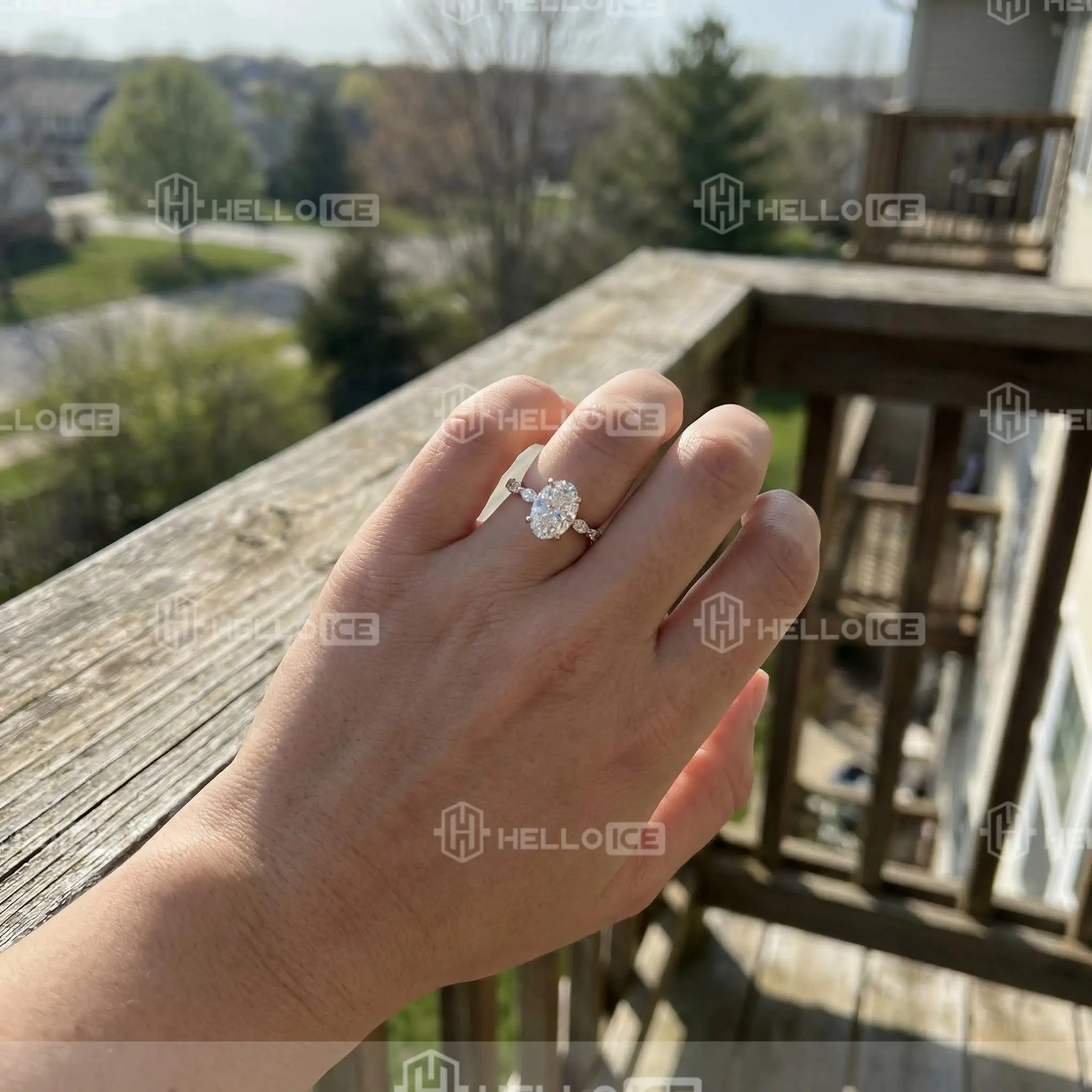 Helloice Review Image