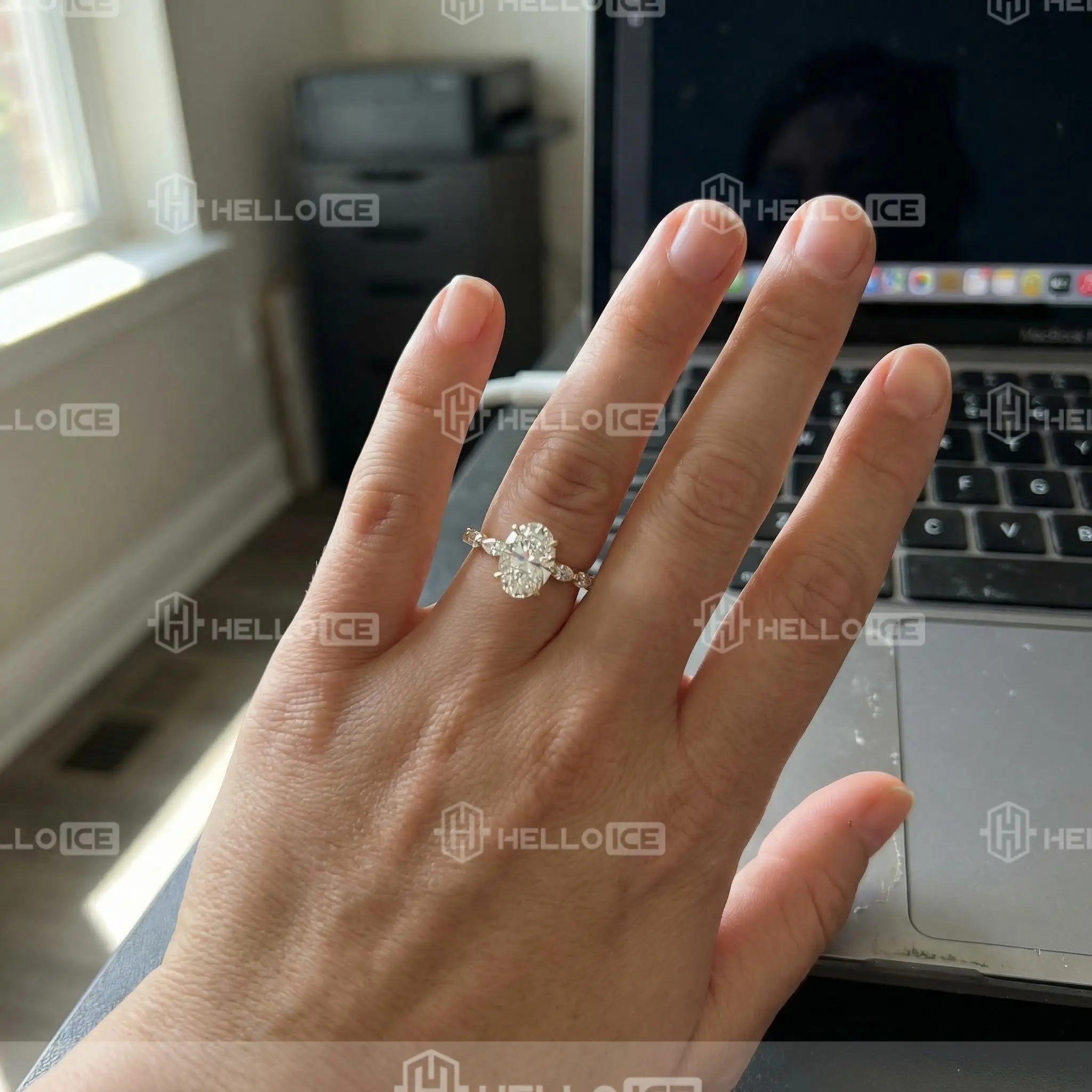 Helloice Review Image