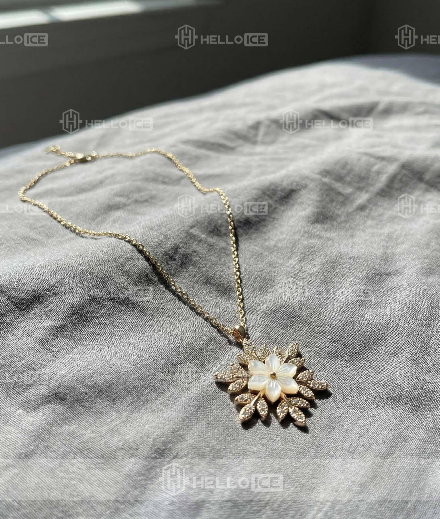 Helloice Review Image