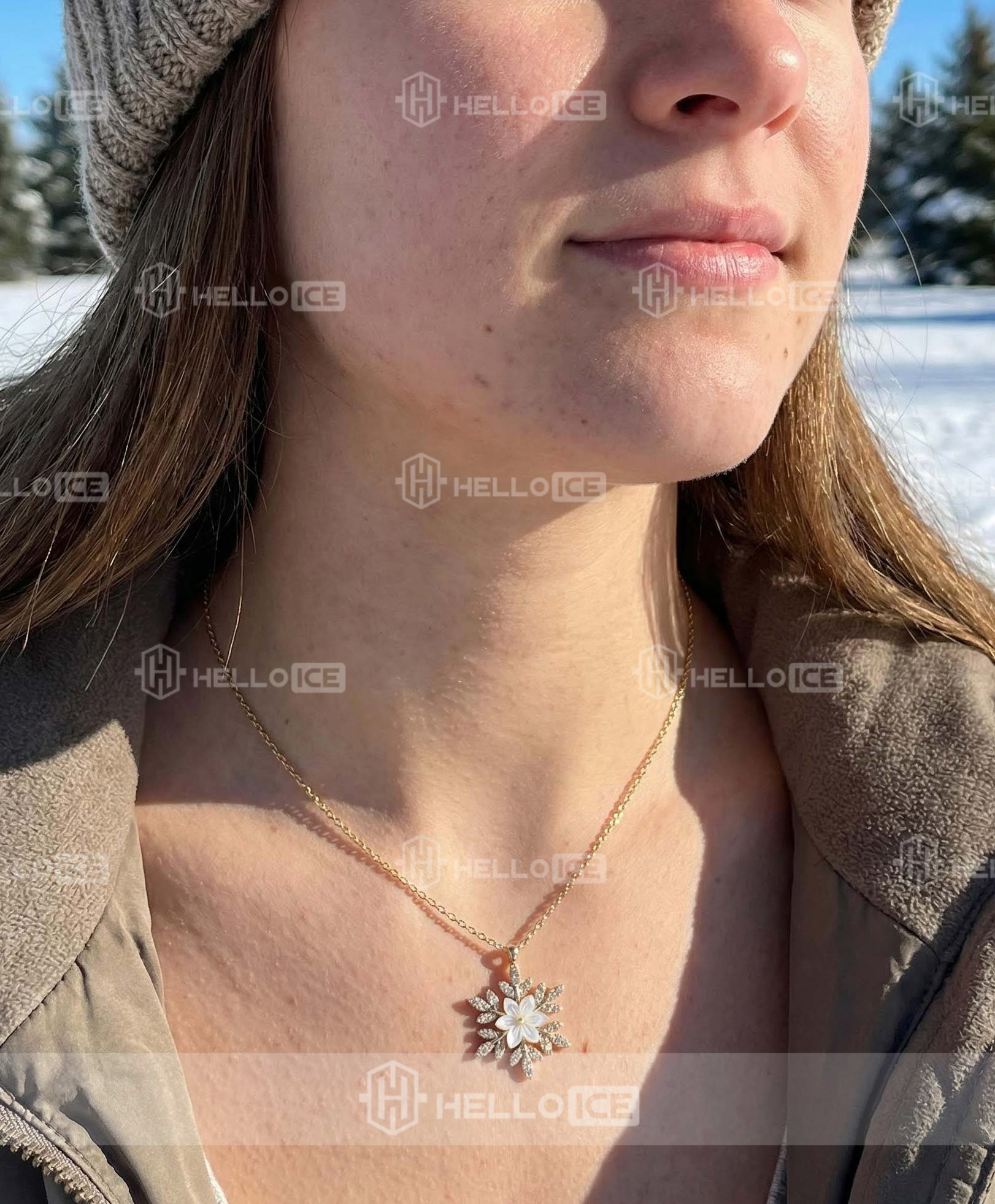 Helloice Review Image