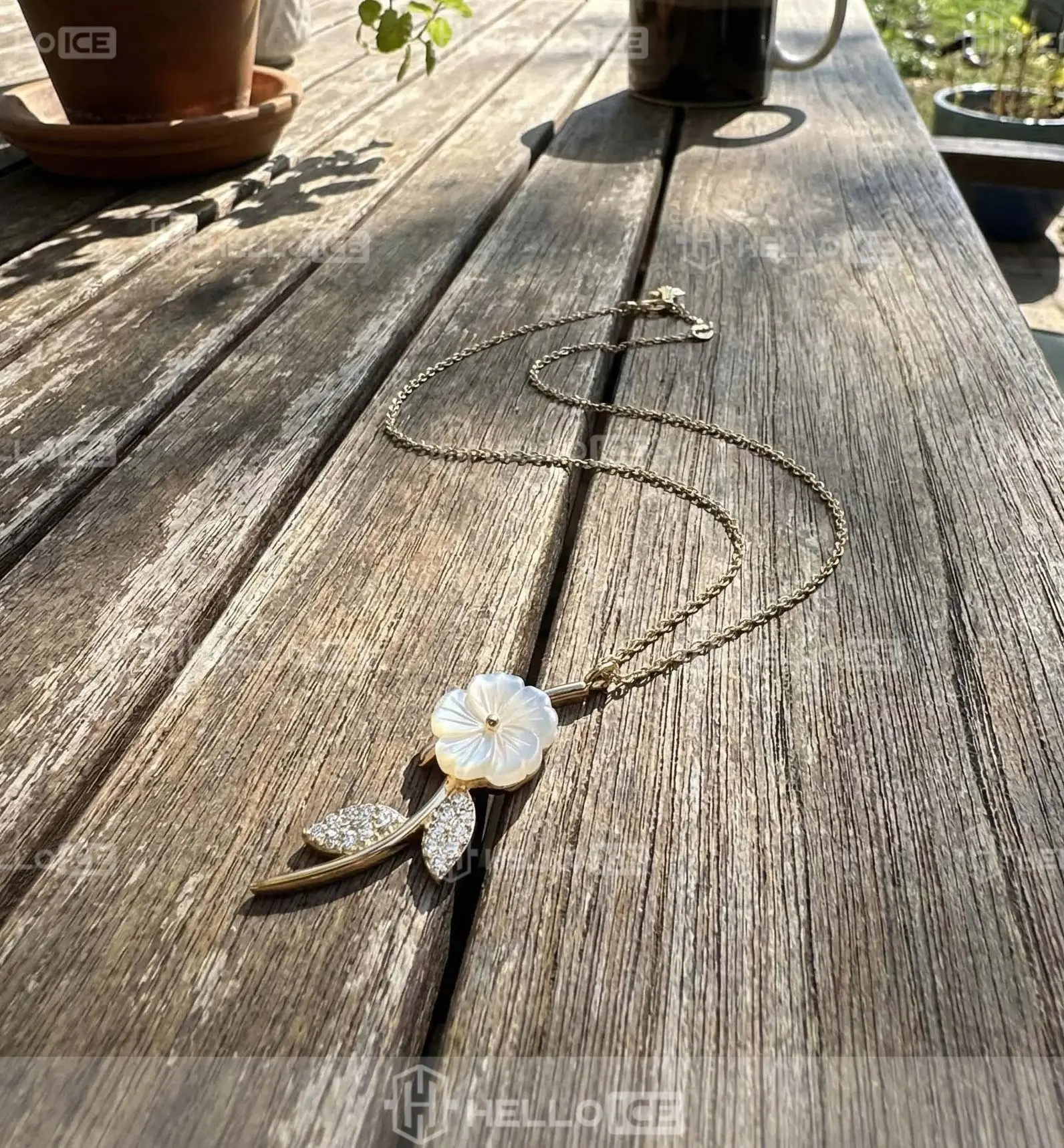 Helloice Review Image