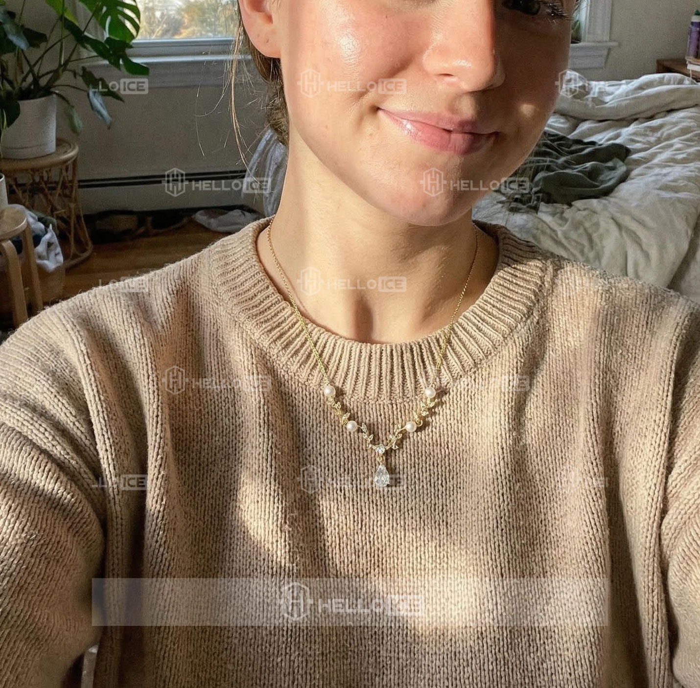 Helloice Review Image