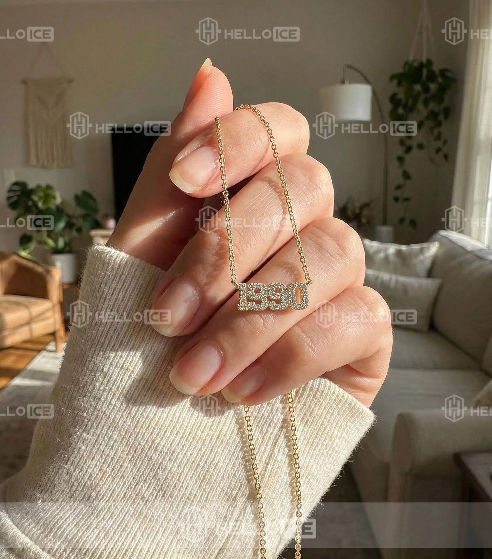 Helloice Review Image