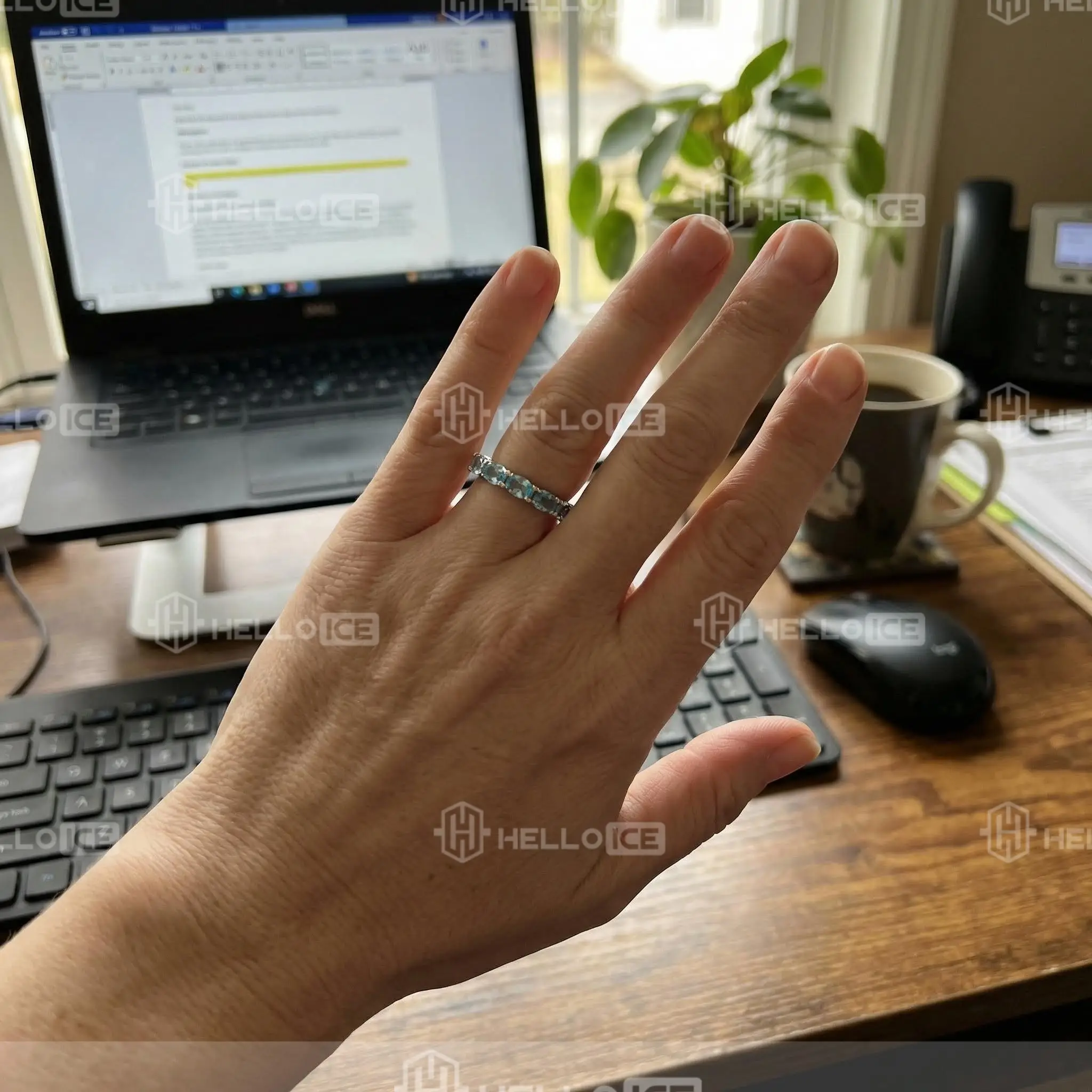 Helloice Review Image