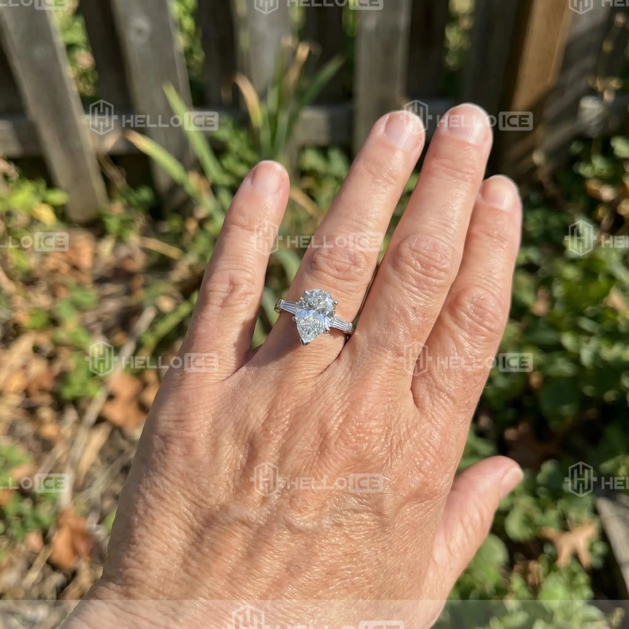 Helloice Review Image