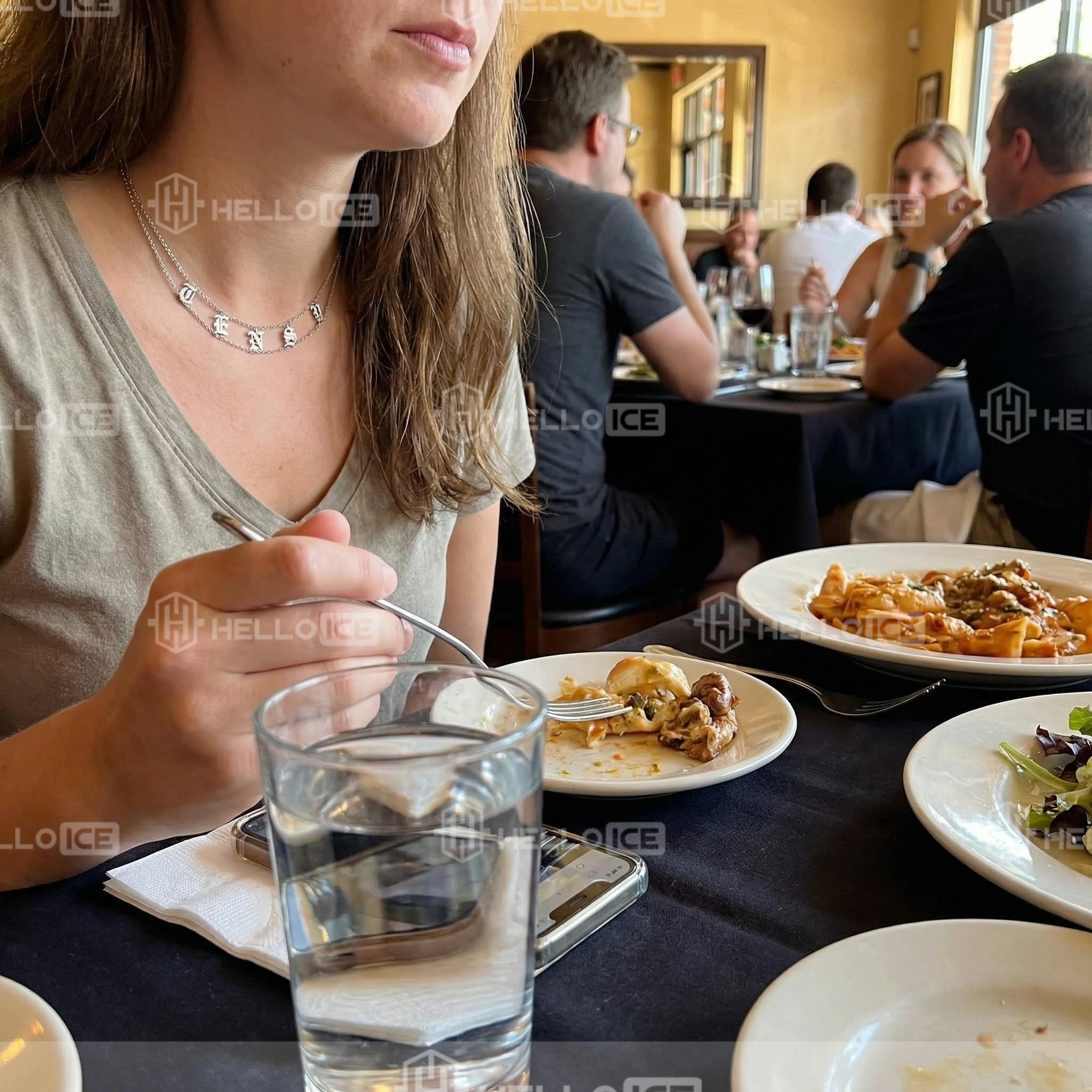 Helloice Review Image