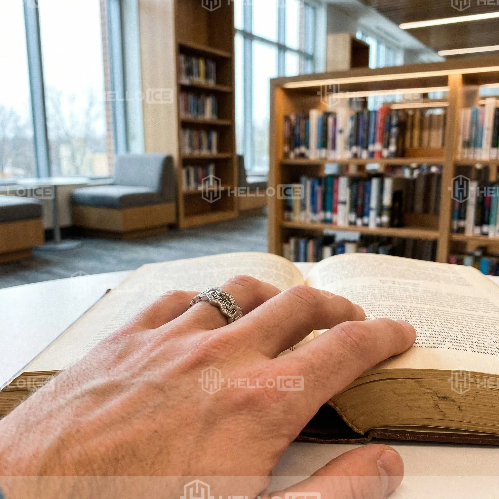 Helloice Review Image