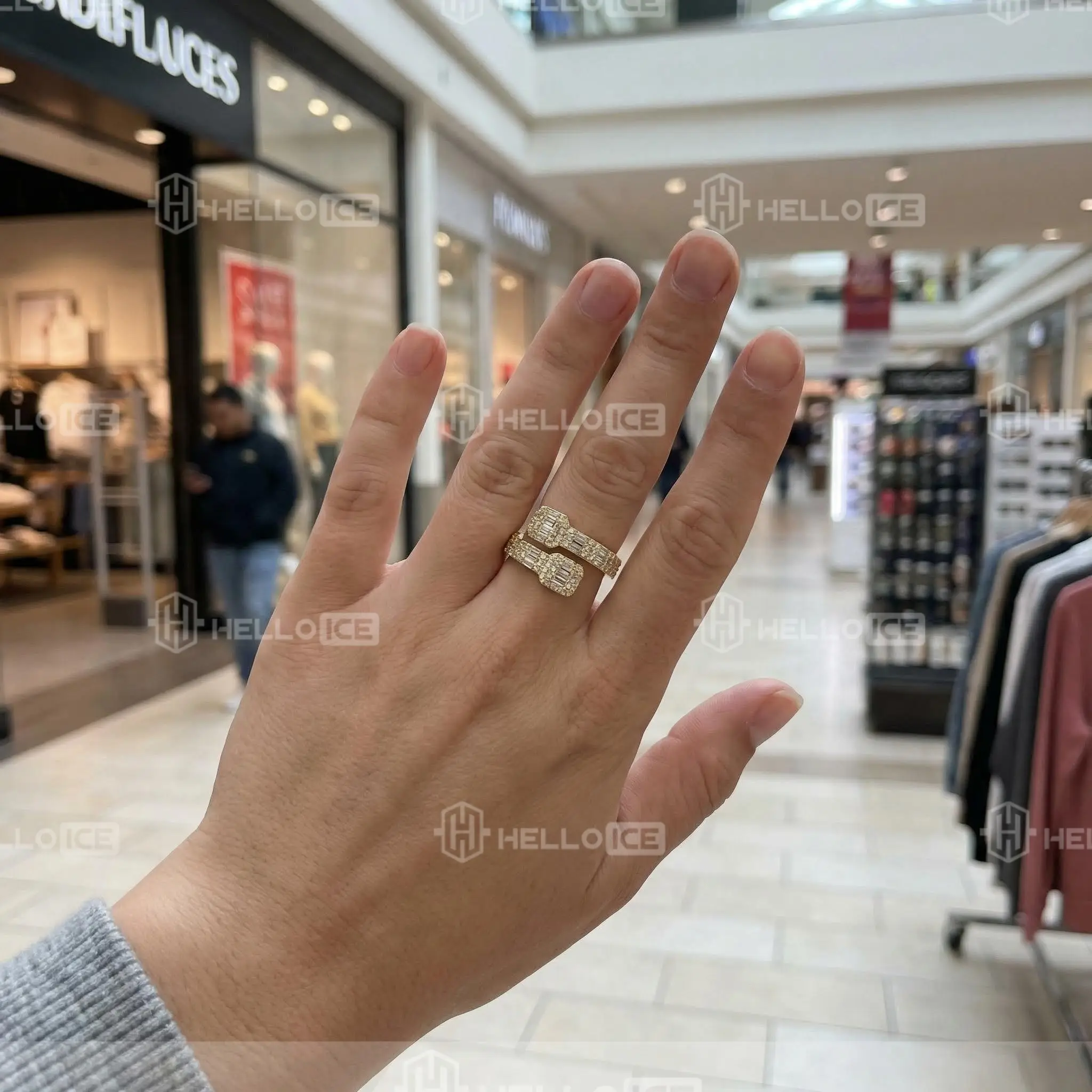 Helloice Review Image