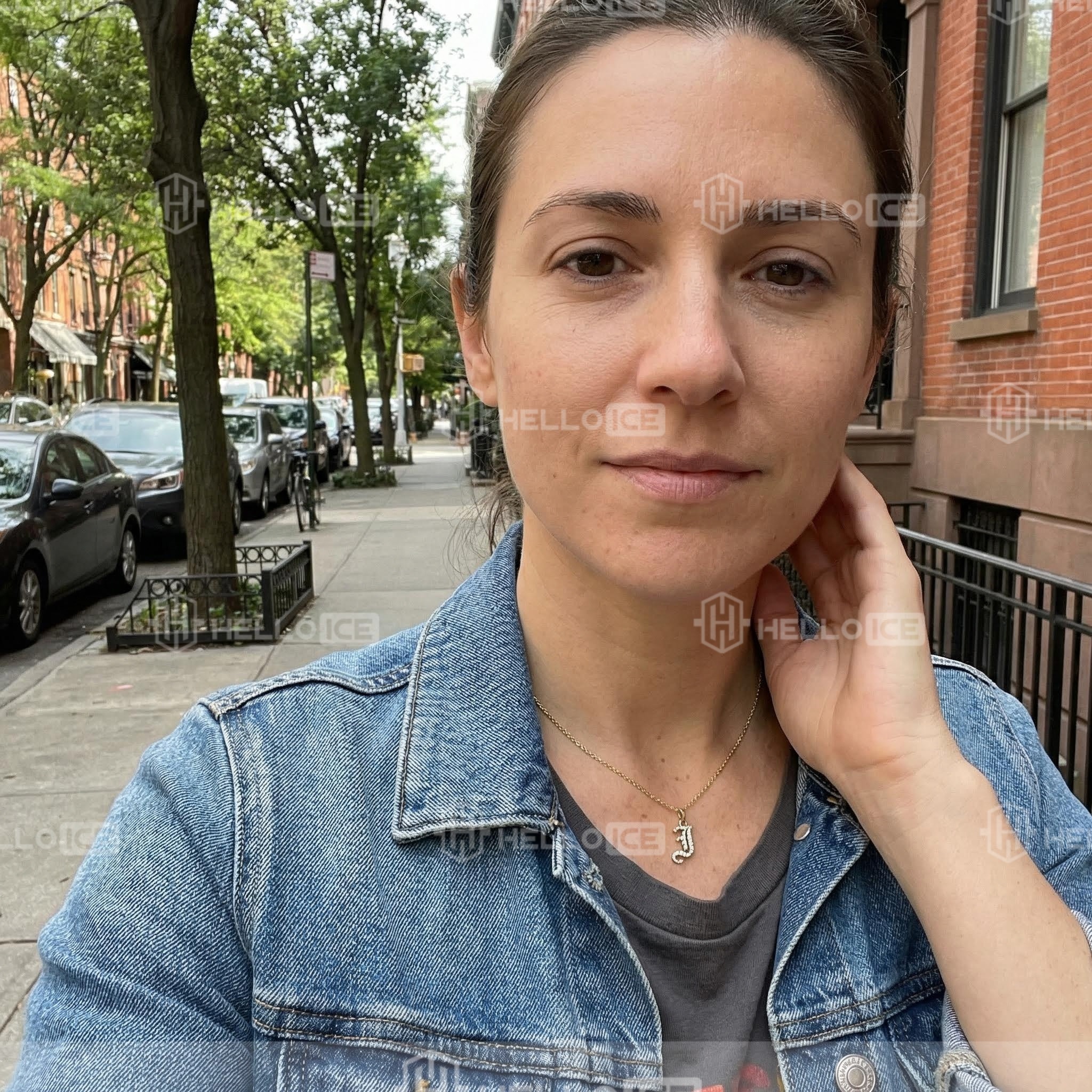 Helloice Review Image