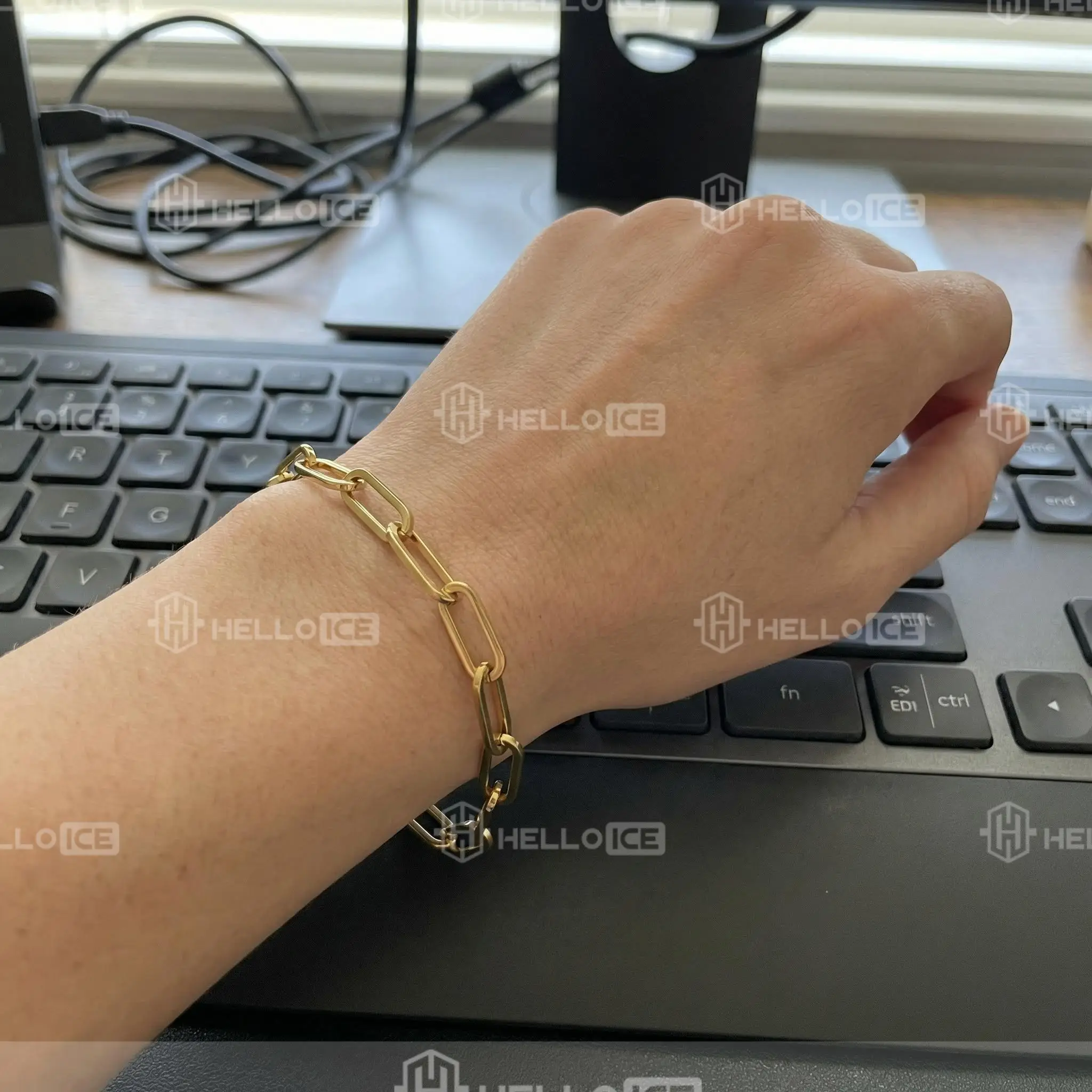 Helloice Review Image