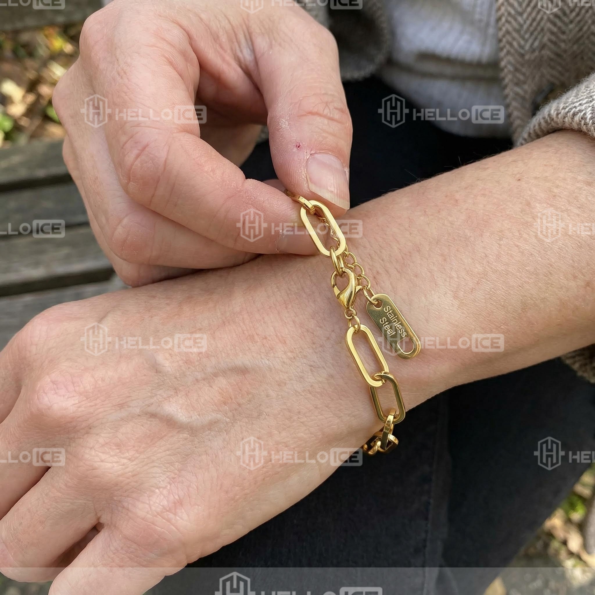 Helloice Review Image