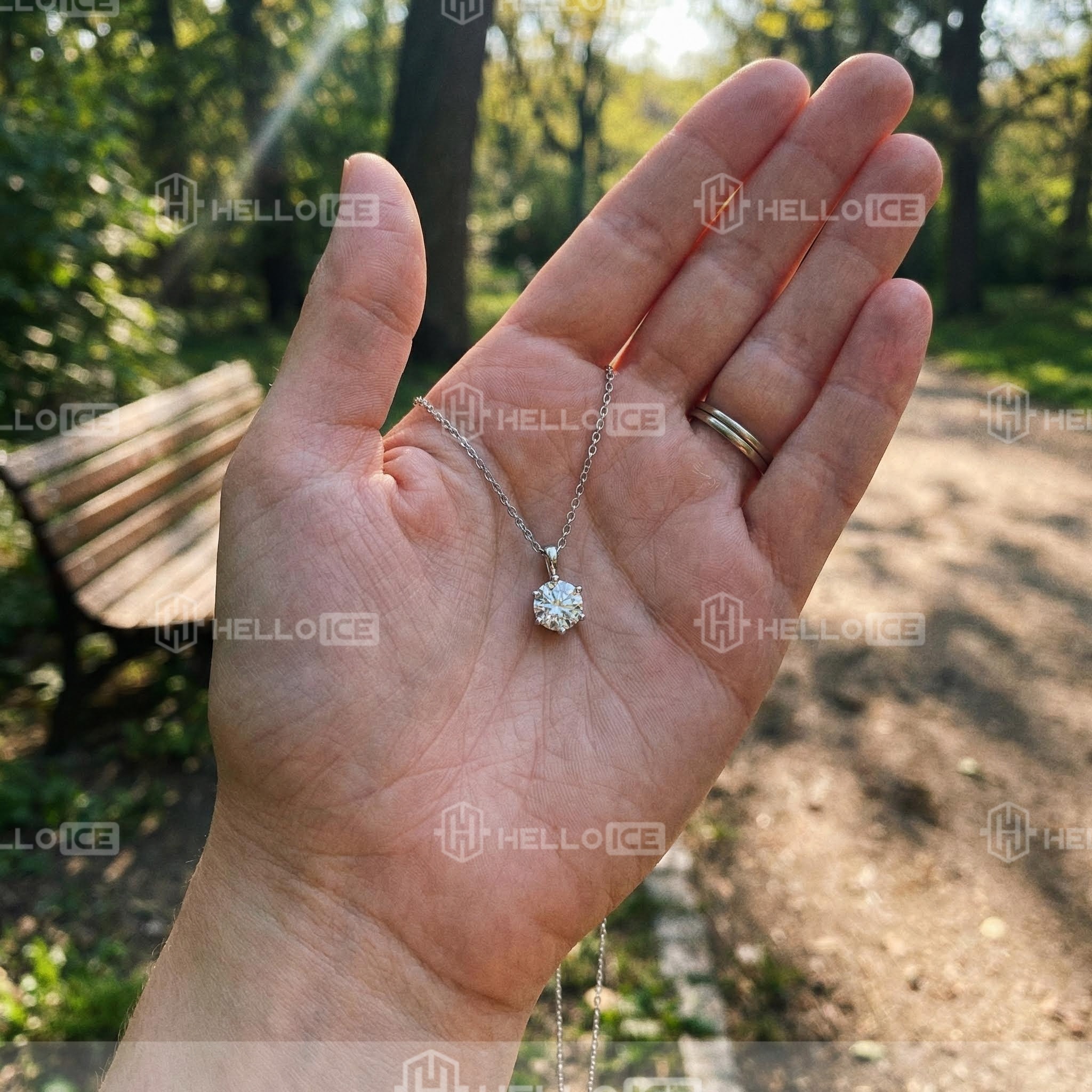 Helloice Review Image