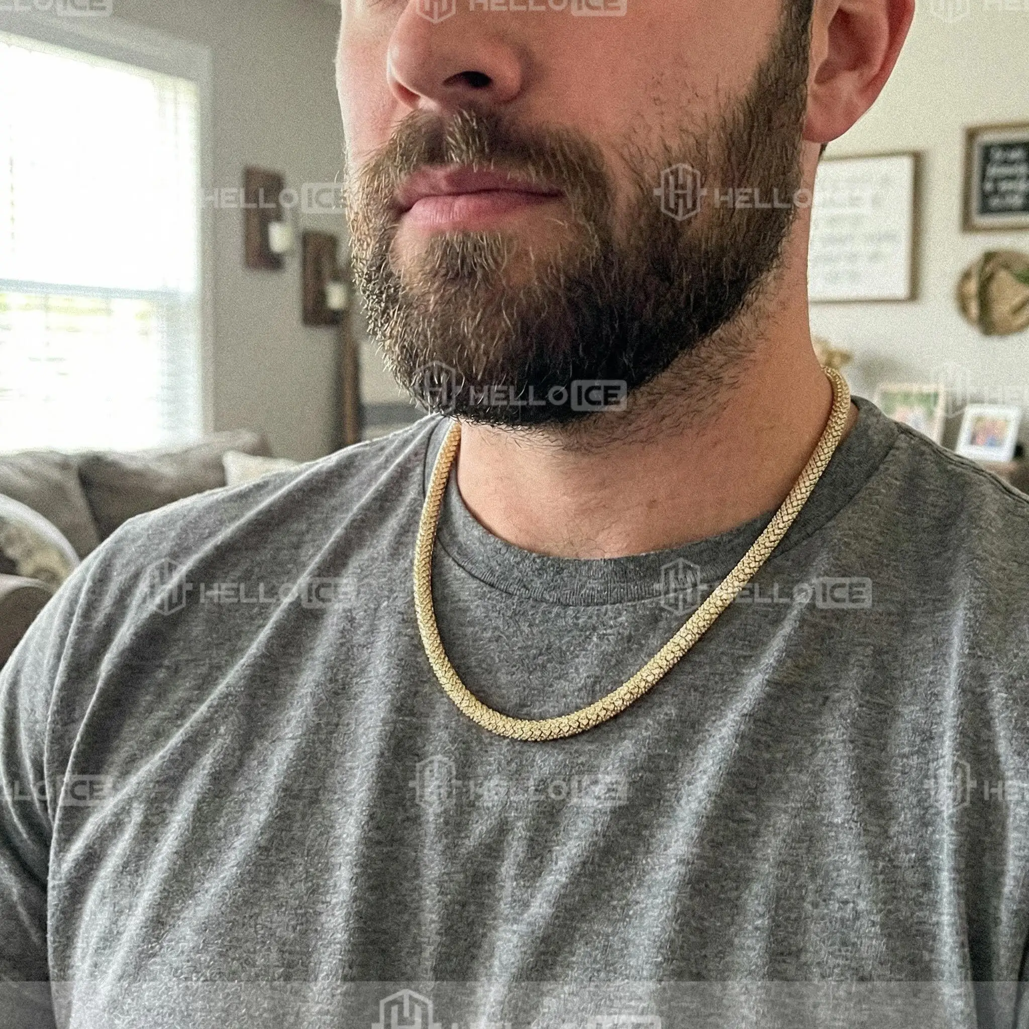 Helloice Review Image