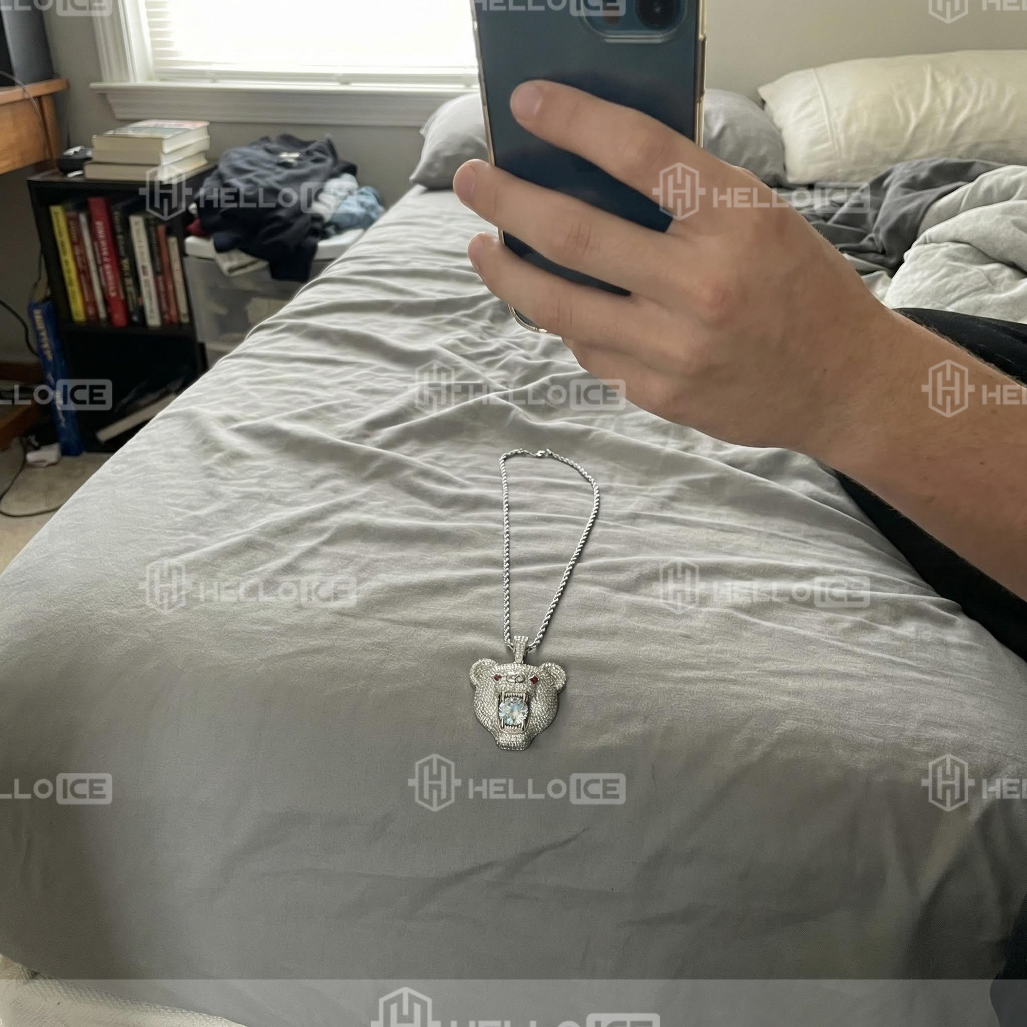 Helloice Review Image