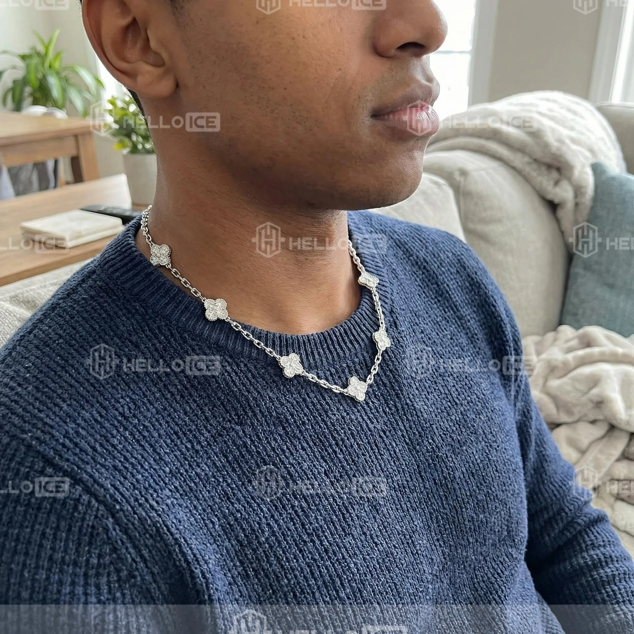 Helloice Review Image