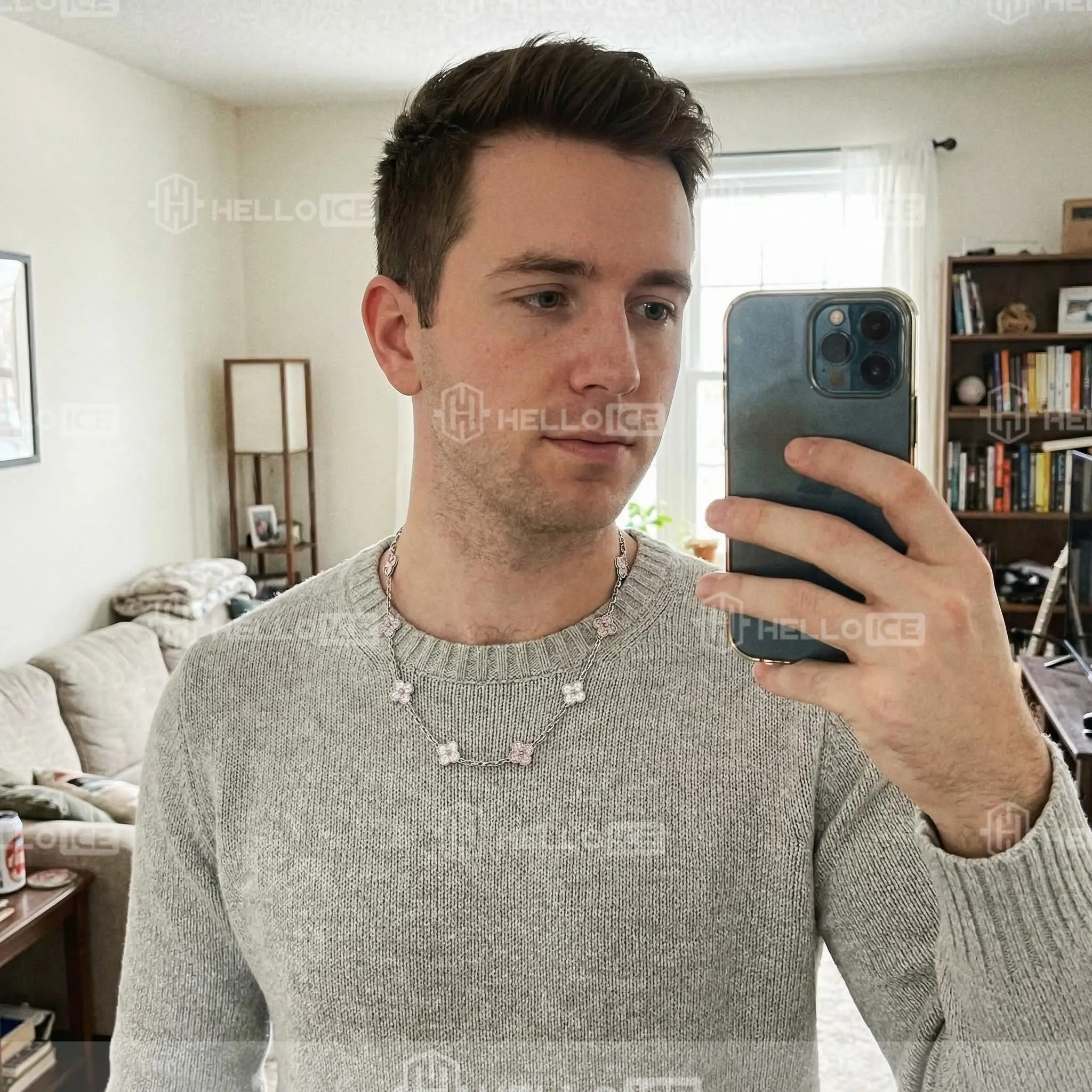 Helloice Review Image