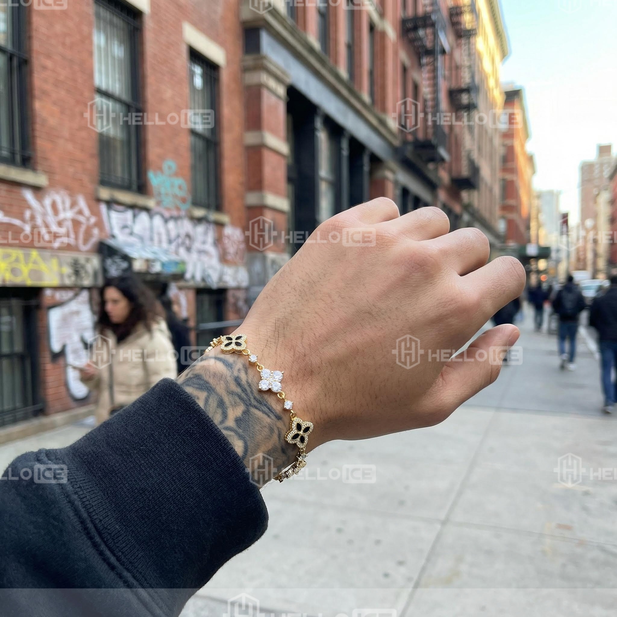 Helloice Review Image