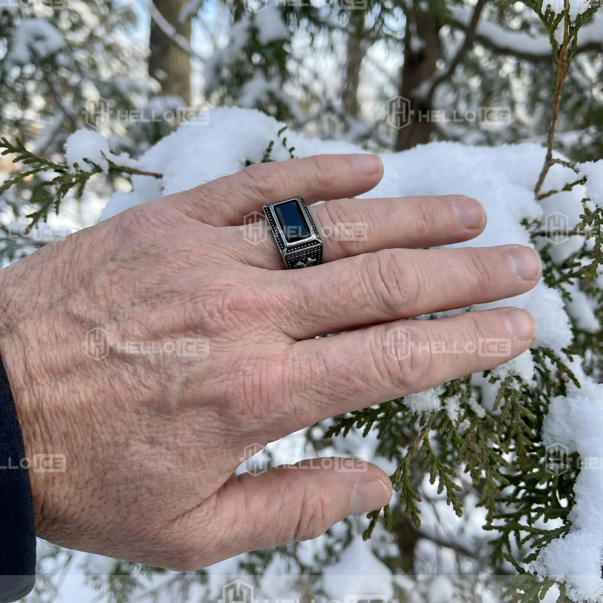 Helloice Review Image