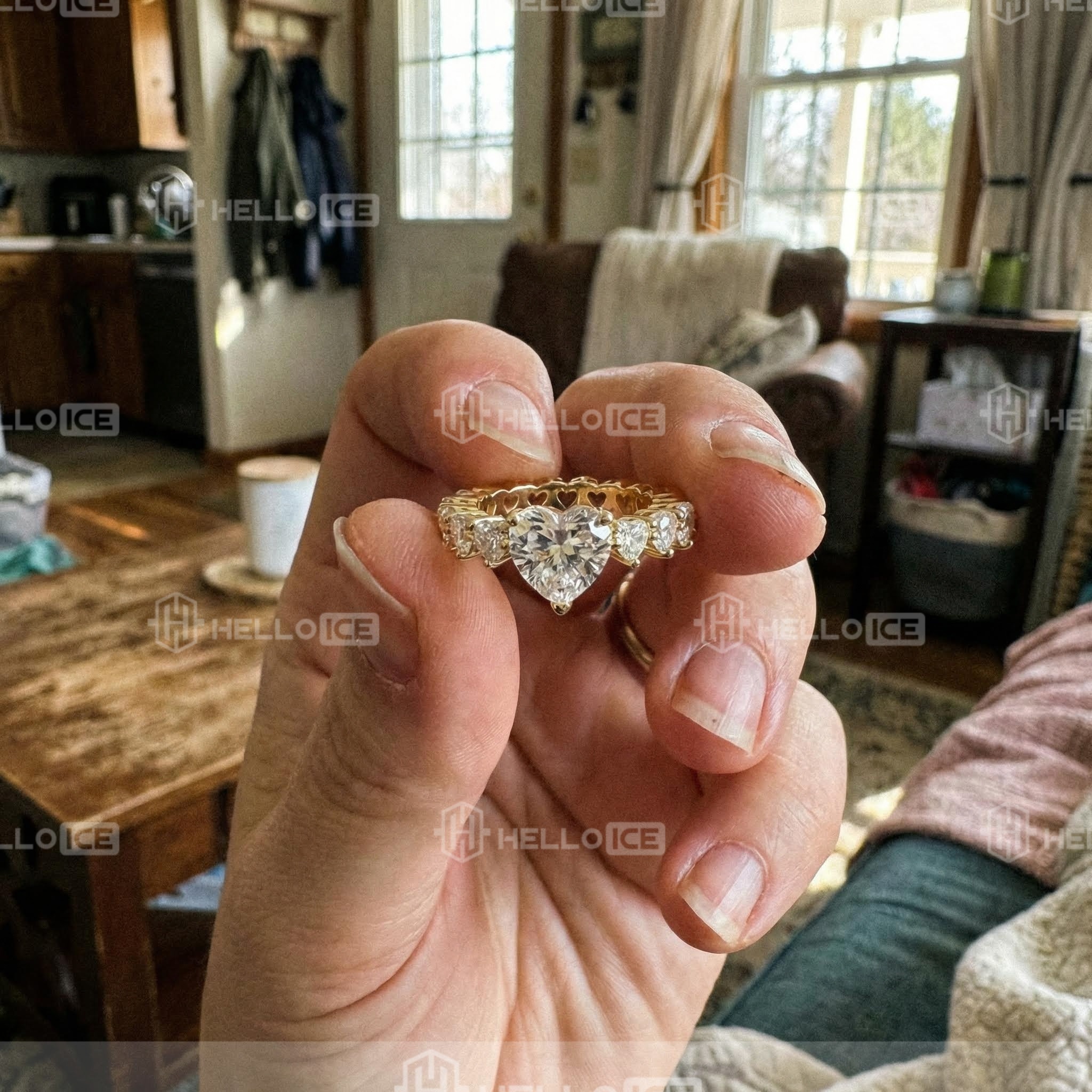 Helloice Review Image