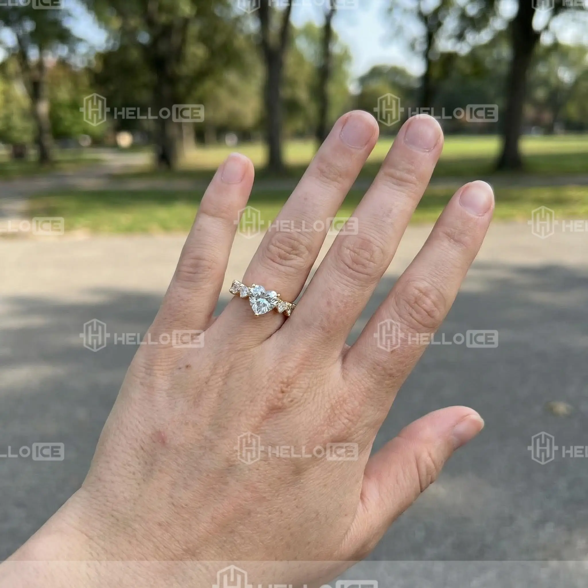 Helloice Review Image