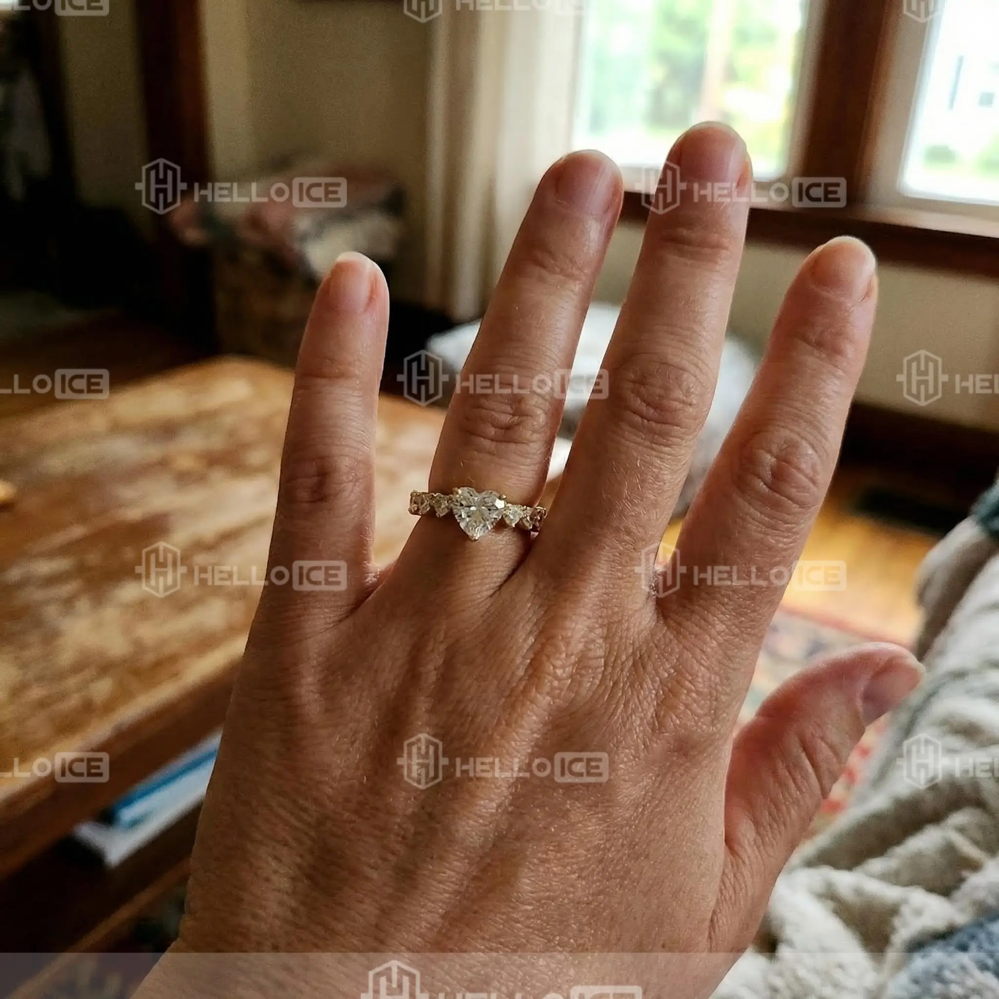 Helloice Review Image