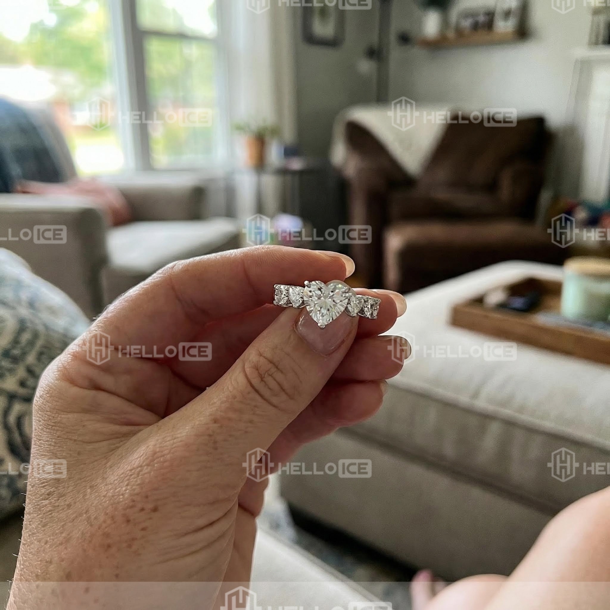 Helloice Review Image