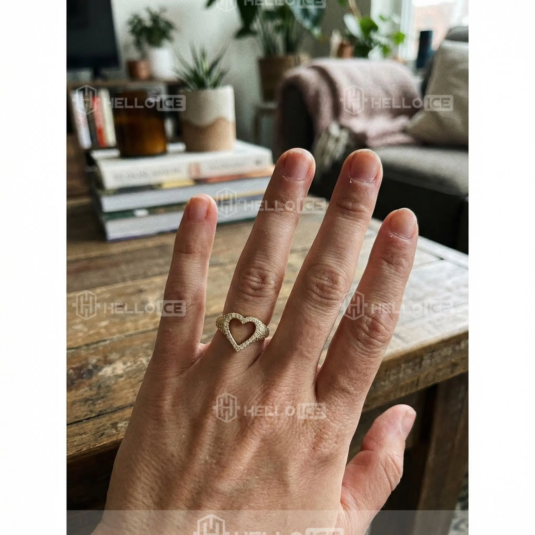 Helloice Review Image