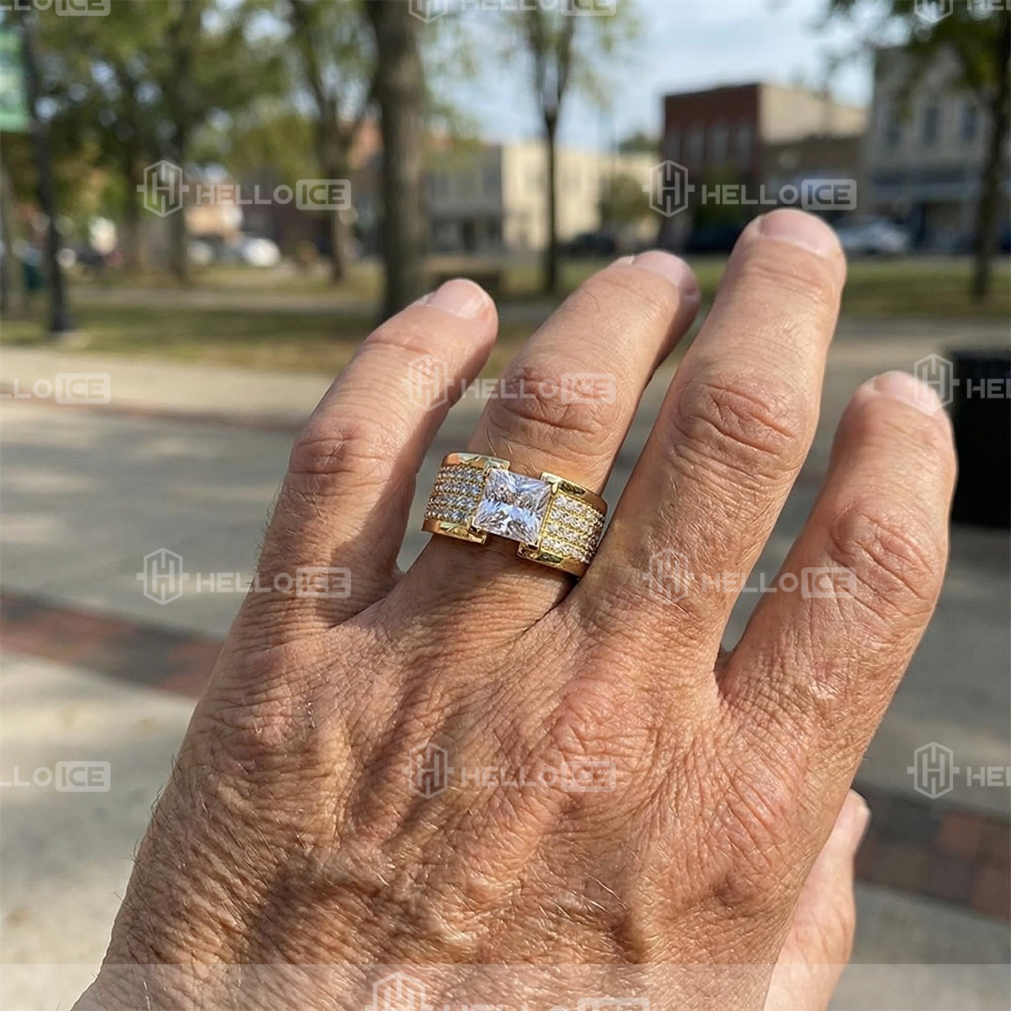 Helloice Review Image