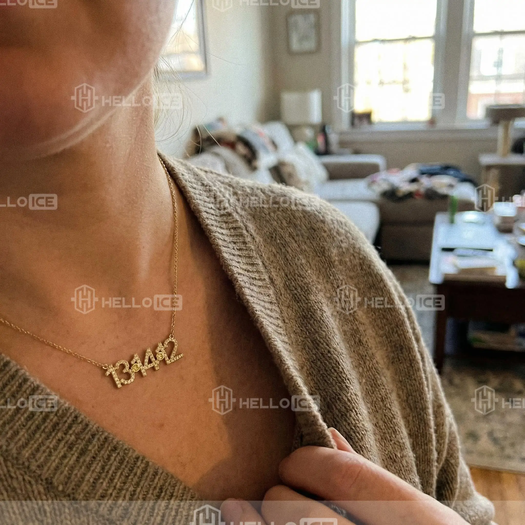 Helloice Review Image