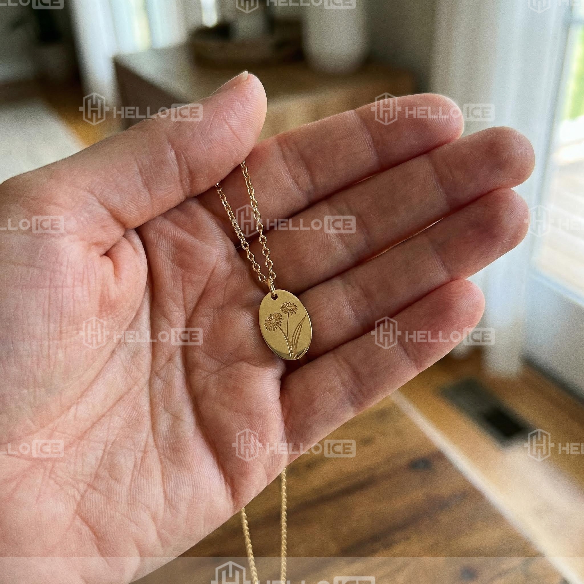 Helloice Review Image