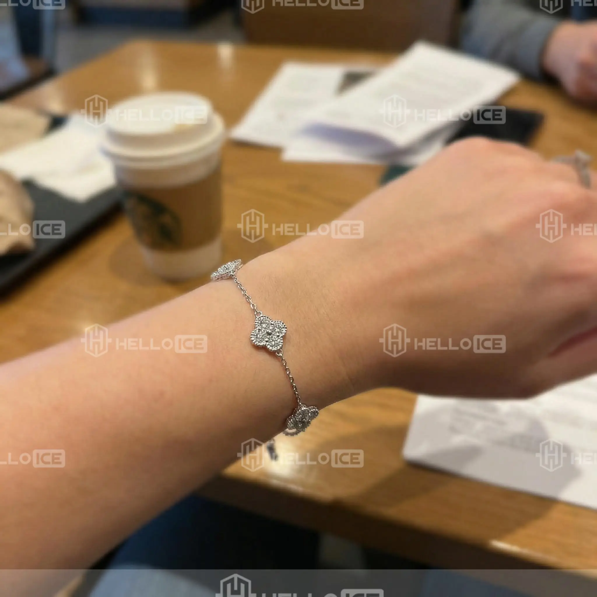 Helloice Review Image