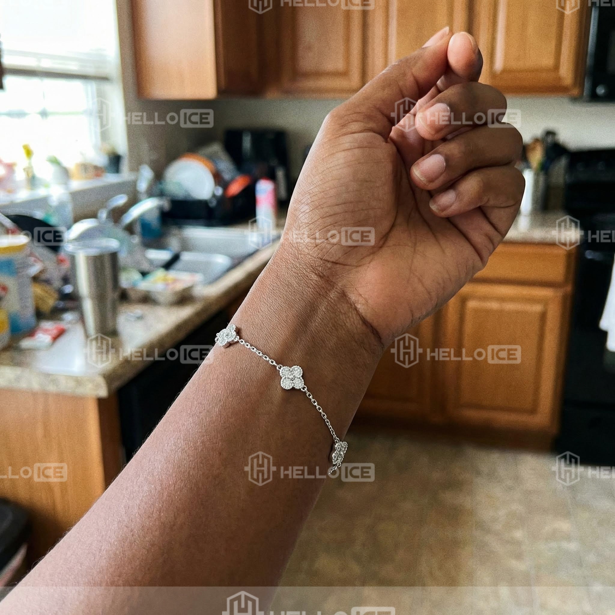 Helloice Review Image