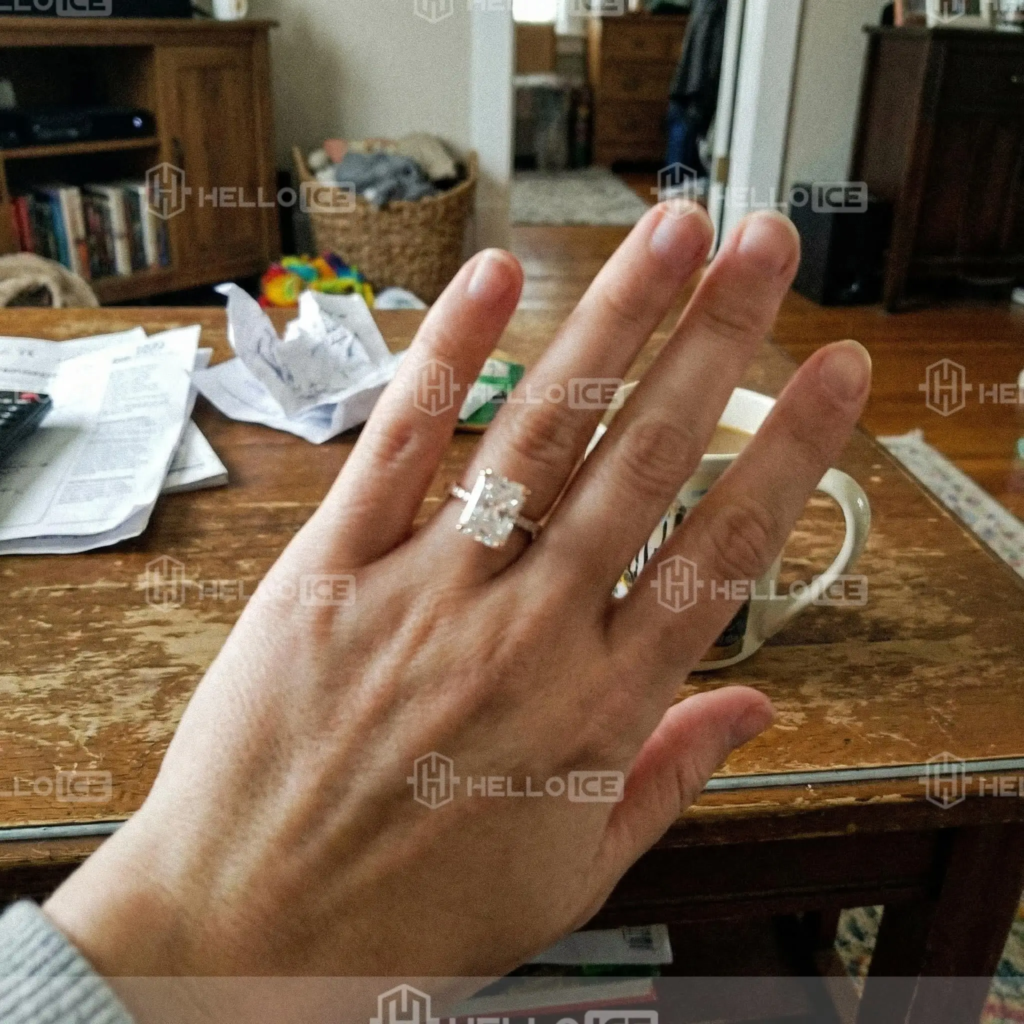 Helloice Review Image