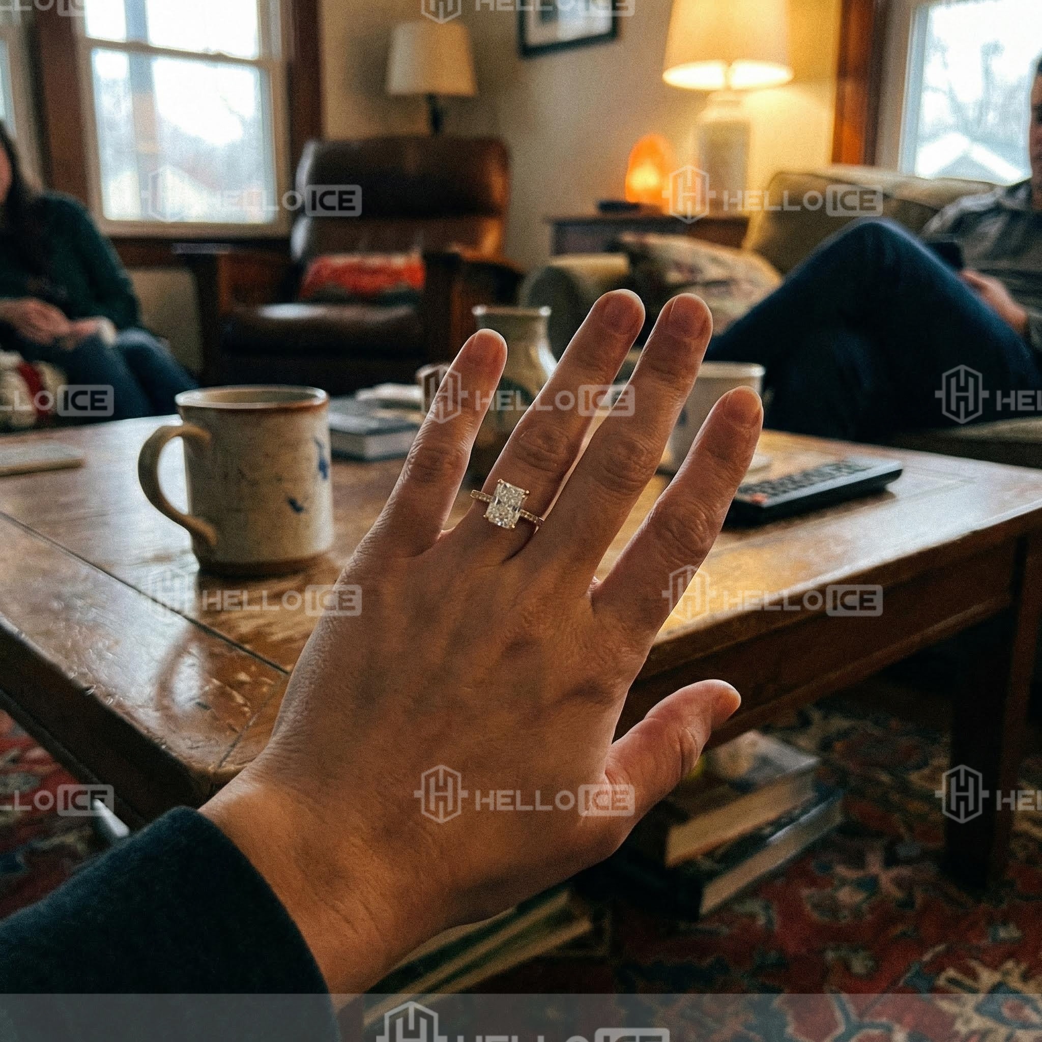 Helloice Review Image