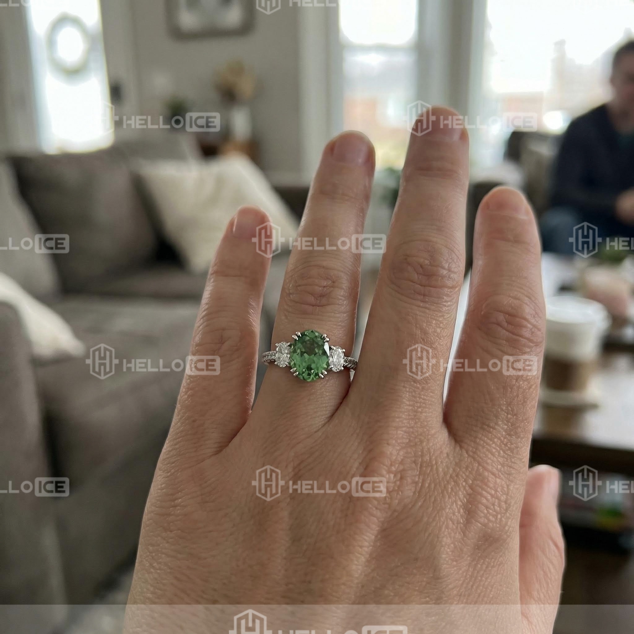 Helloice Review Image