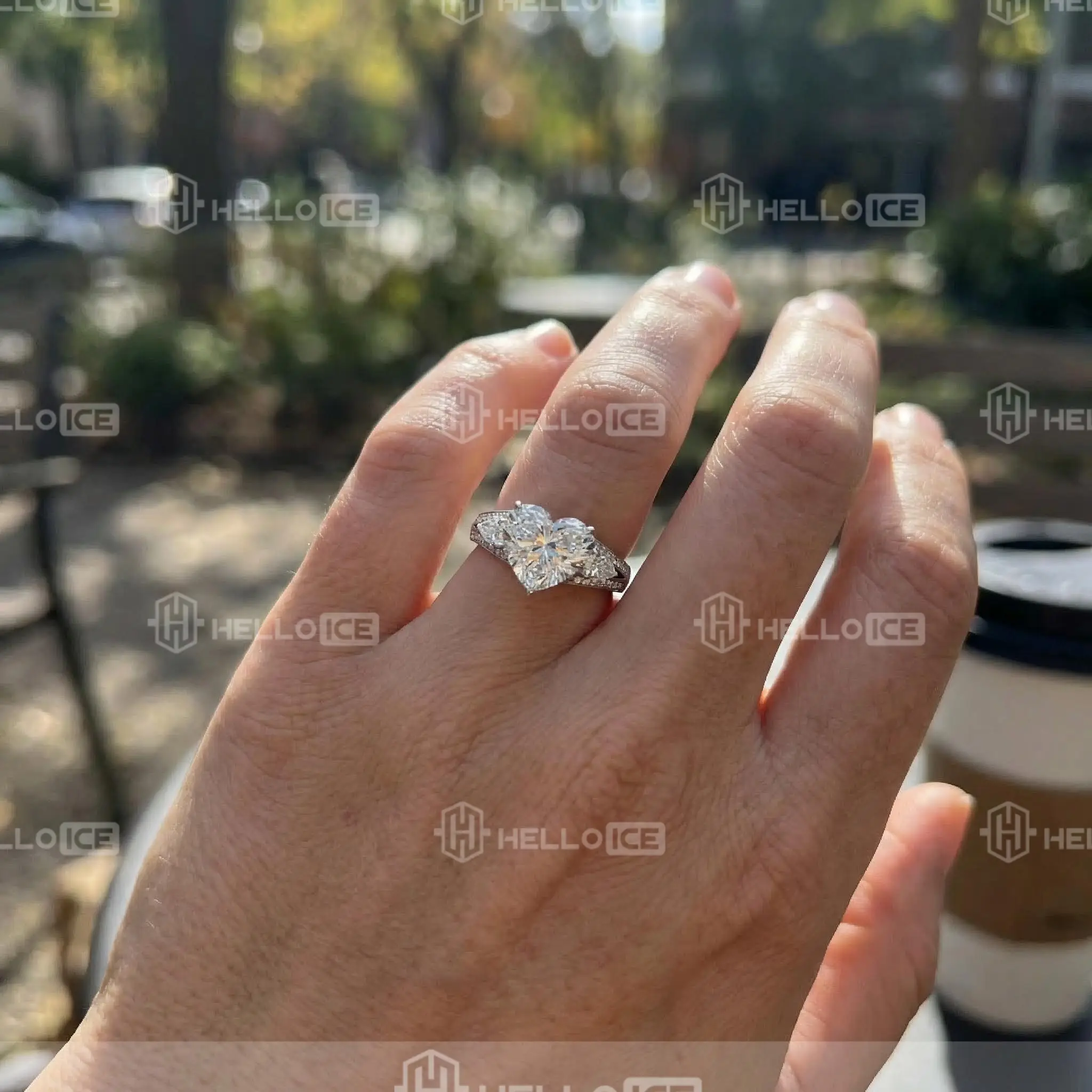 Helloice Review Image