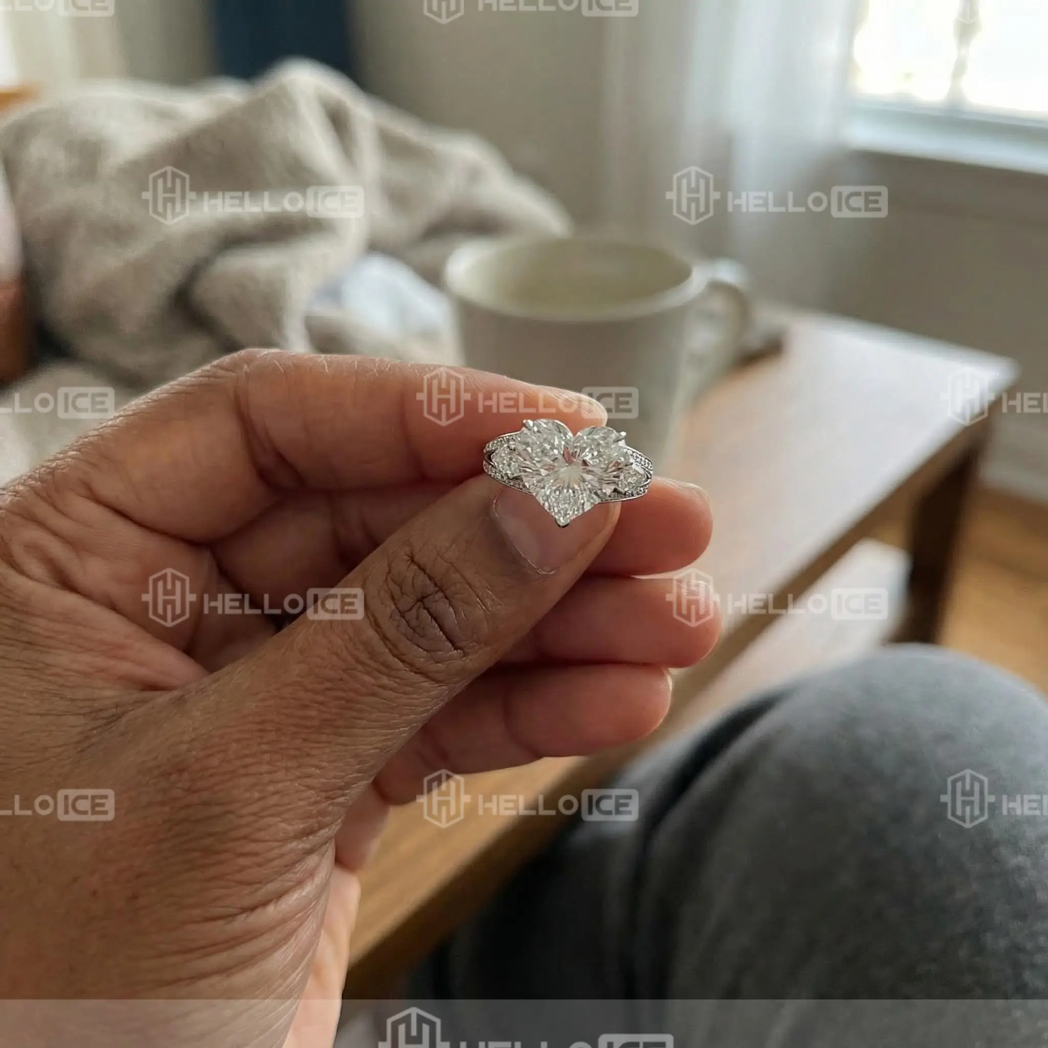 Helloice Review Image