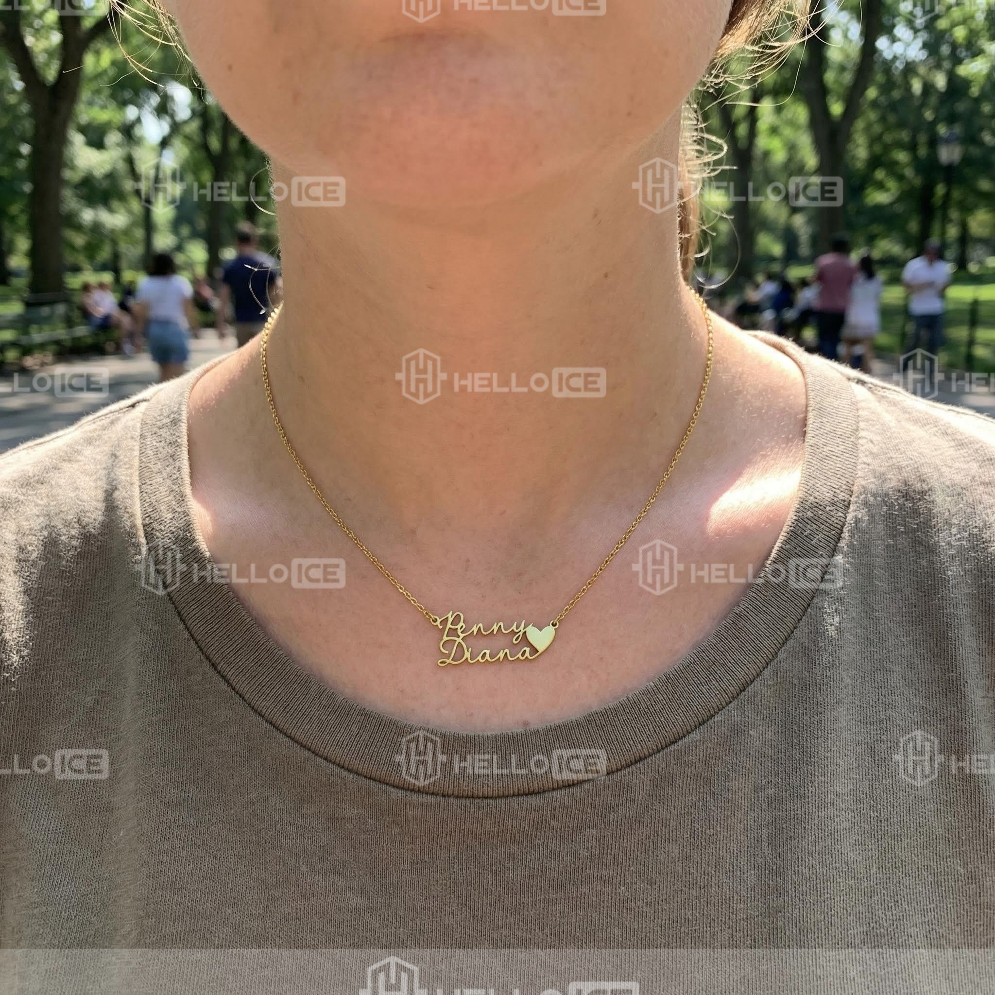 Helloice Review Image