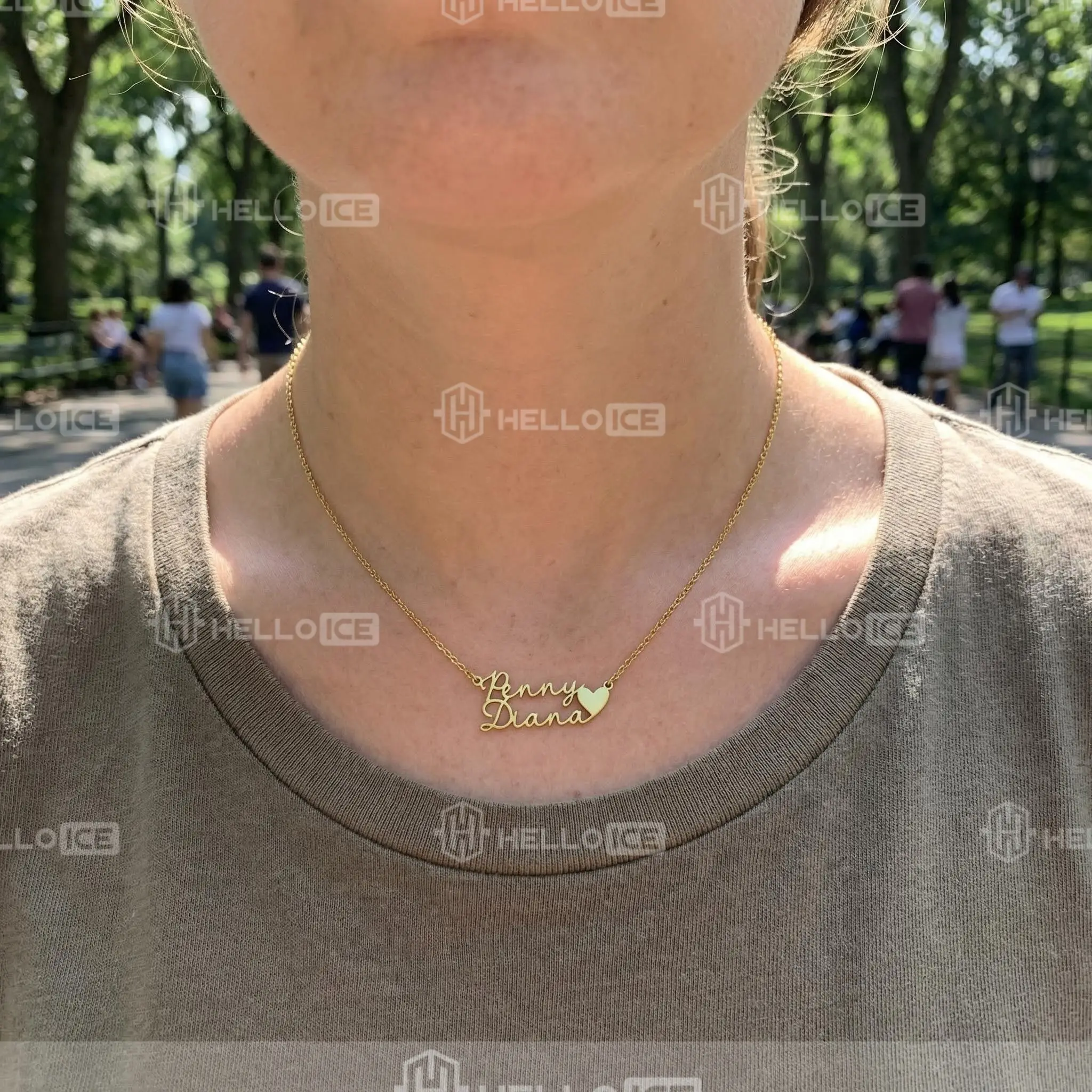 Helloice Review Image